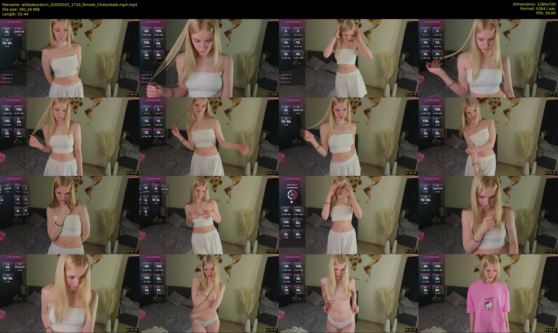 wildadearborn — 53 minute Chaturbate female cam show recording, 720p, Mar 2, 2025