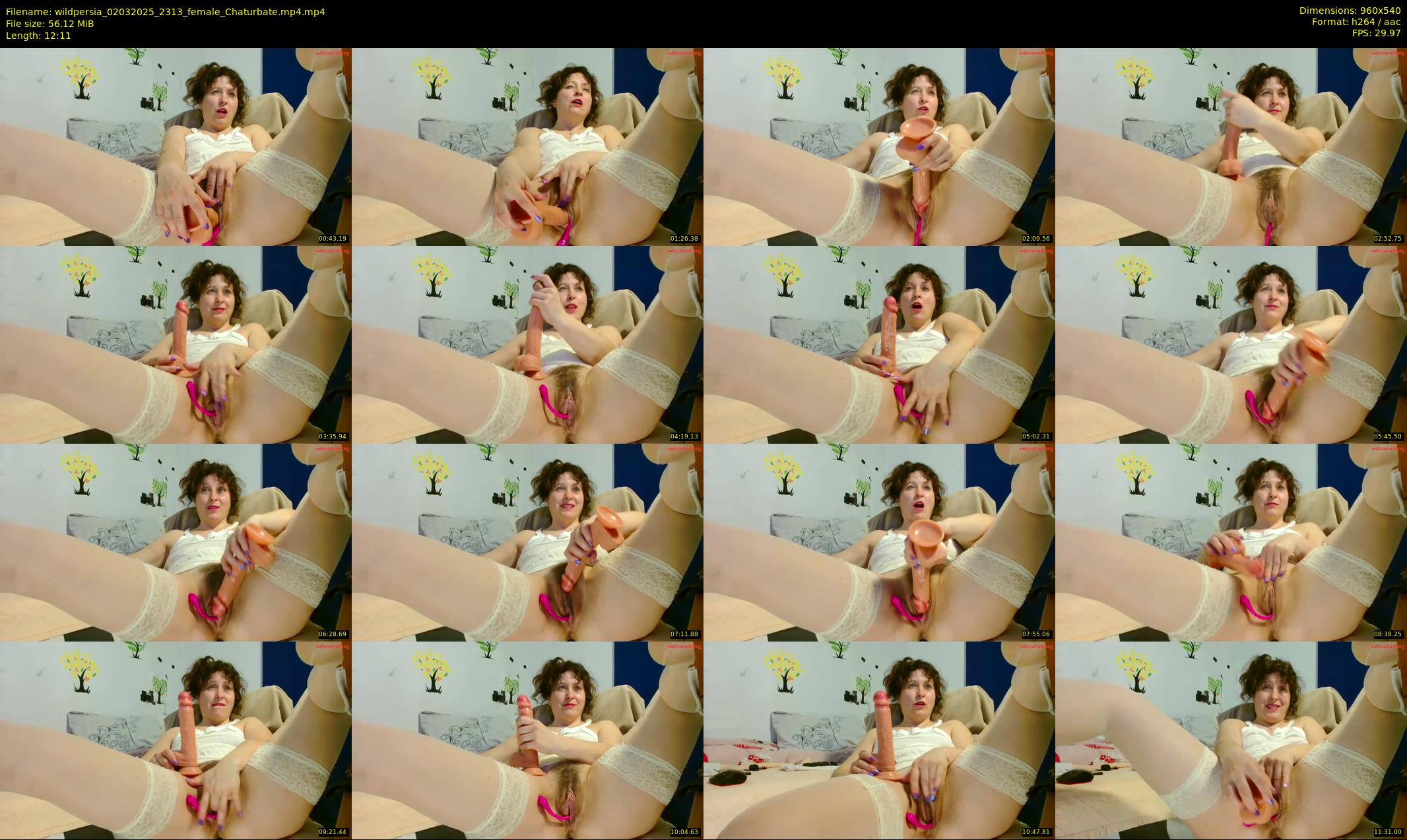 wildpersia — 13 minute Chaturbate female cam show recording, 480p, Mar 2, 2025
