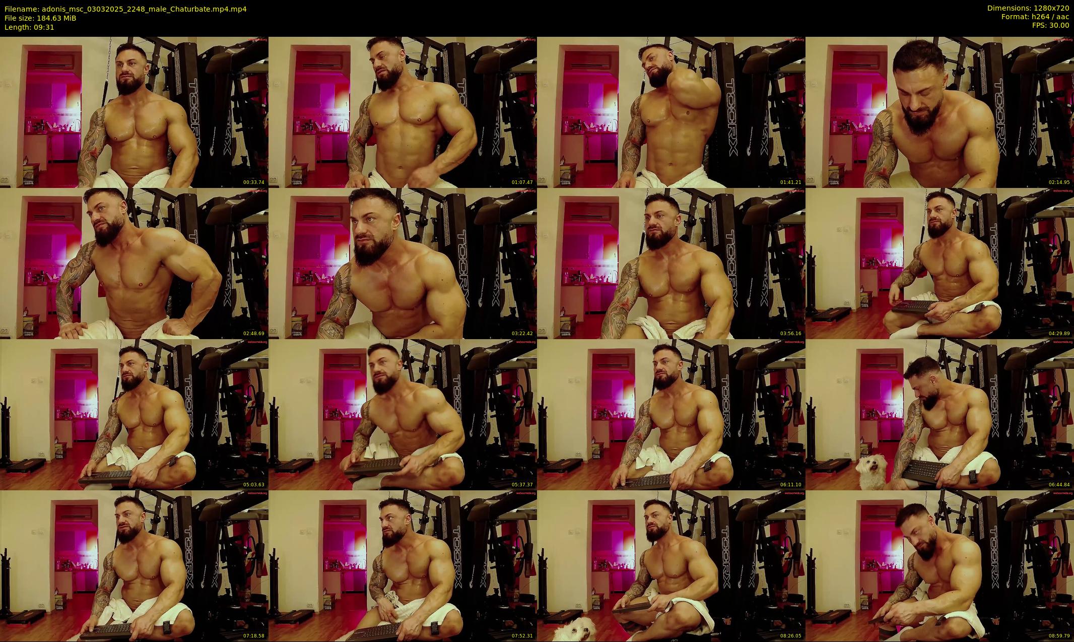 adonis_msc — 10 minute Chaturbate male cam show recording, 720p, Mar 3, 2025