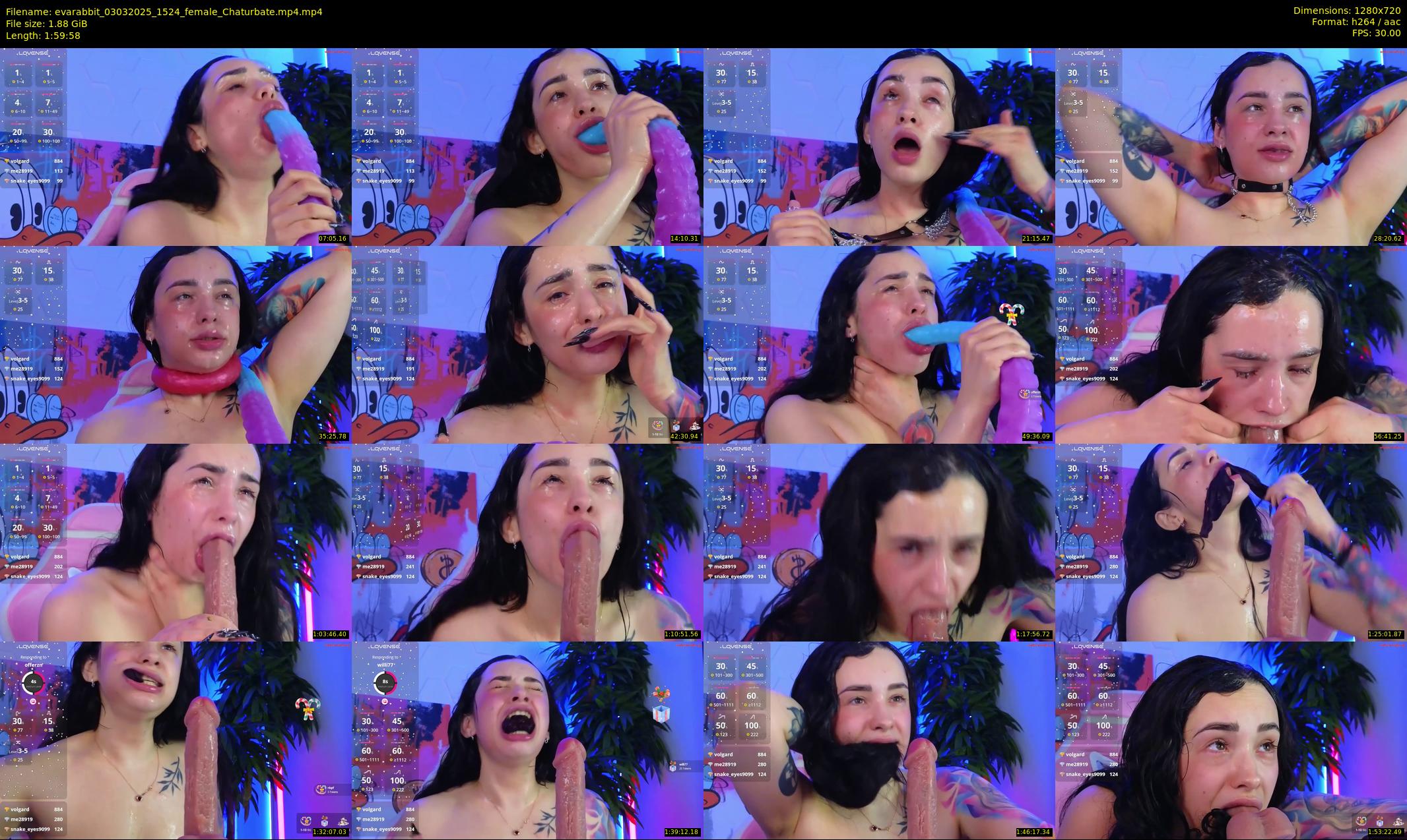 evarabbit — 120 minute Chaturbate female cam show recording, 720p, Mar 3, 2025