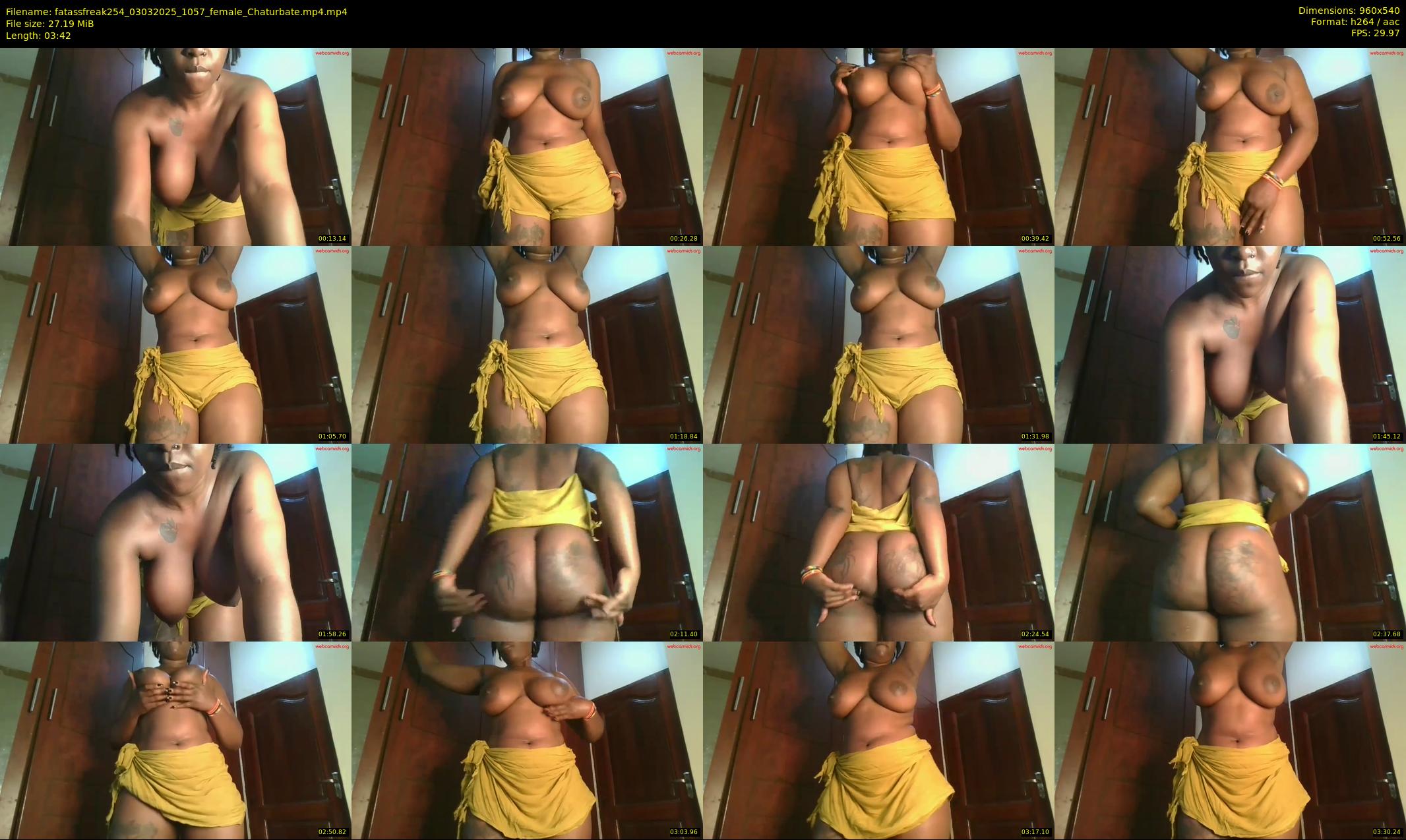 fatassfreak254 — 4 minute Chaturbate female cam show recording, 480p, Mar 3, 2025