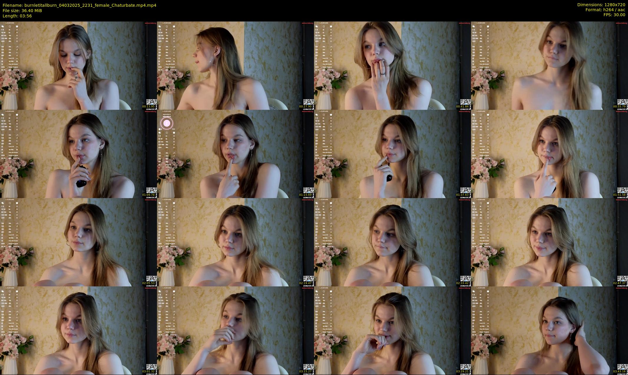burnletitallburn — 4 minute Chaturbate female cam show recording, 720p, Mar 4, 2025
