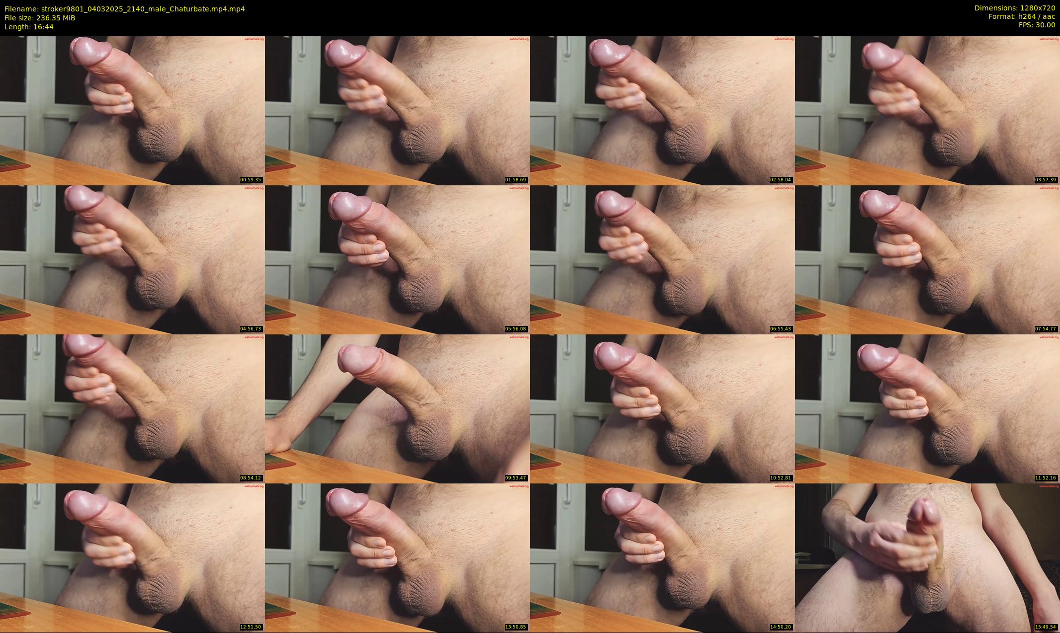 stroker9801 — 17 minute Chaturbate male cam show recording, 720p, Mar 4, 2025