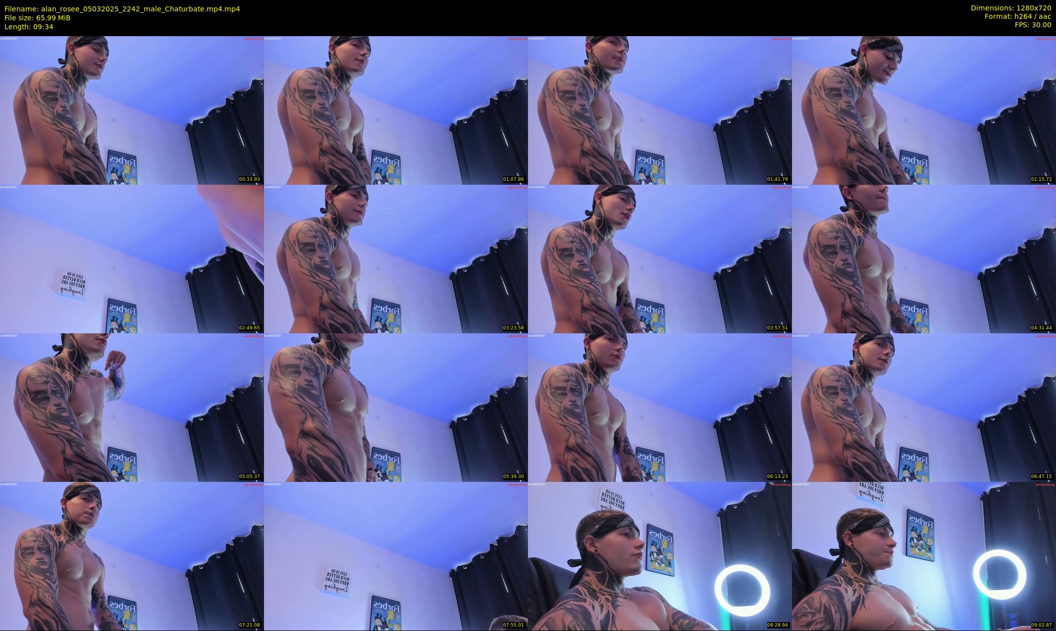 alan_rosee — 10 minute Chaturbate male cam show recording, 720p, Mar 5, 2025