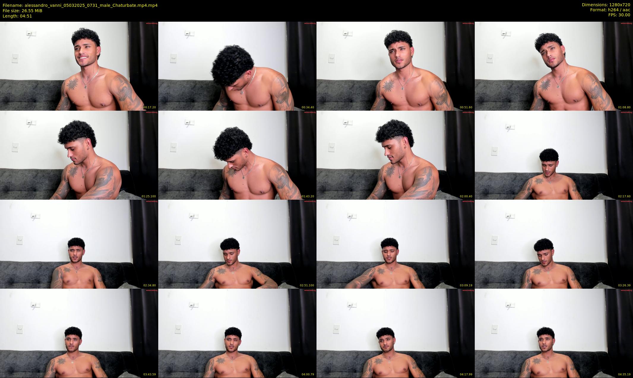 alessandro_vanni — 5 minute Chaturbate male cam show recording, 720p, Mar 5, 2025