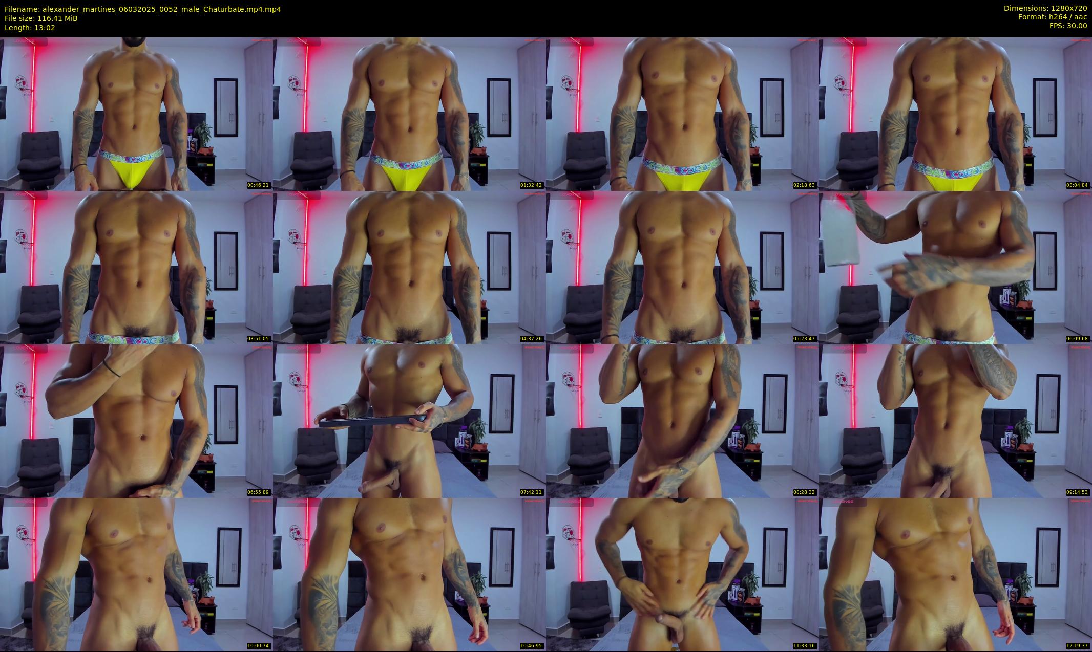 alexander_martines — 14 minute Chaturbate male cam show recording, 720p, Mar 6, 2025
