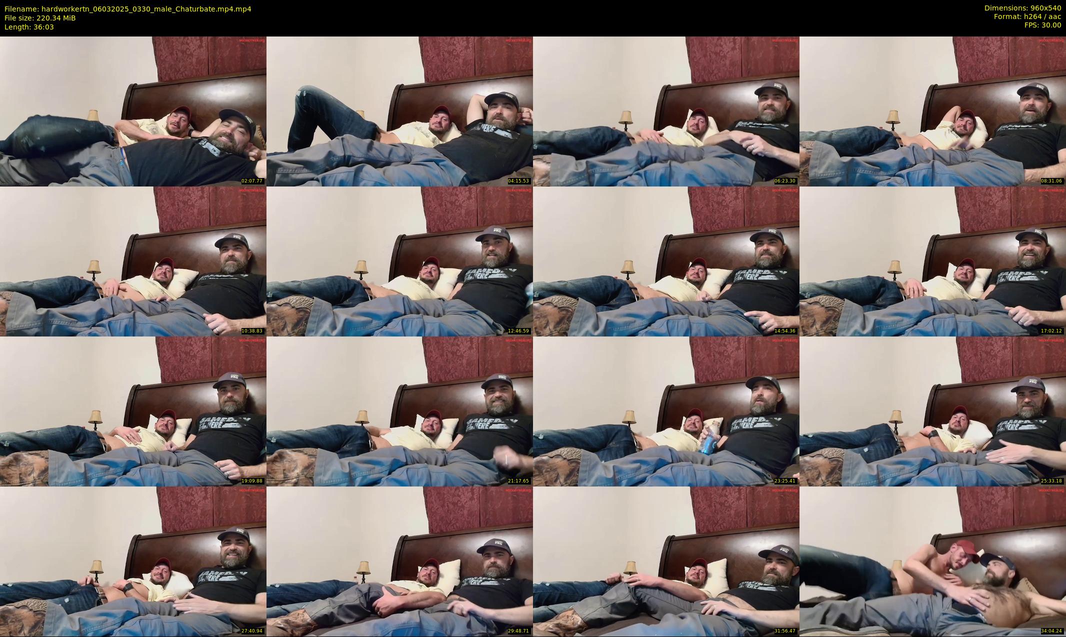 hardworkertn — 37 minute Chaturbate male cam show recording, 480p, Mar 6, 2025