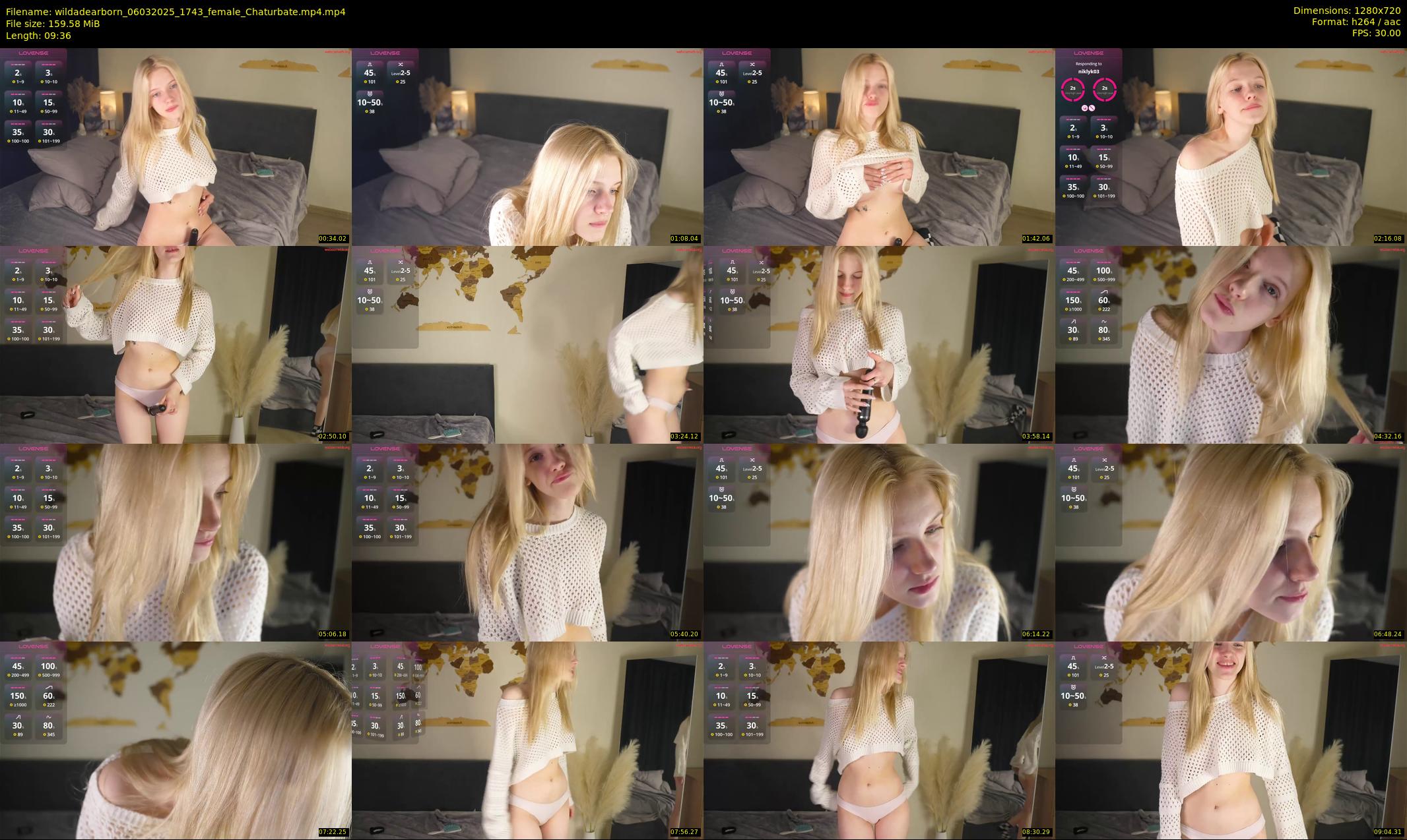 wildadearborn — 10 minute Chaturbate female cam show recording, 720p, Mar 6, 2025