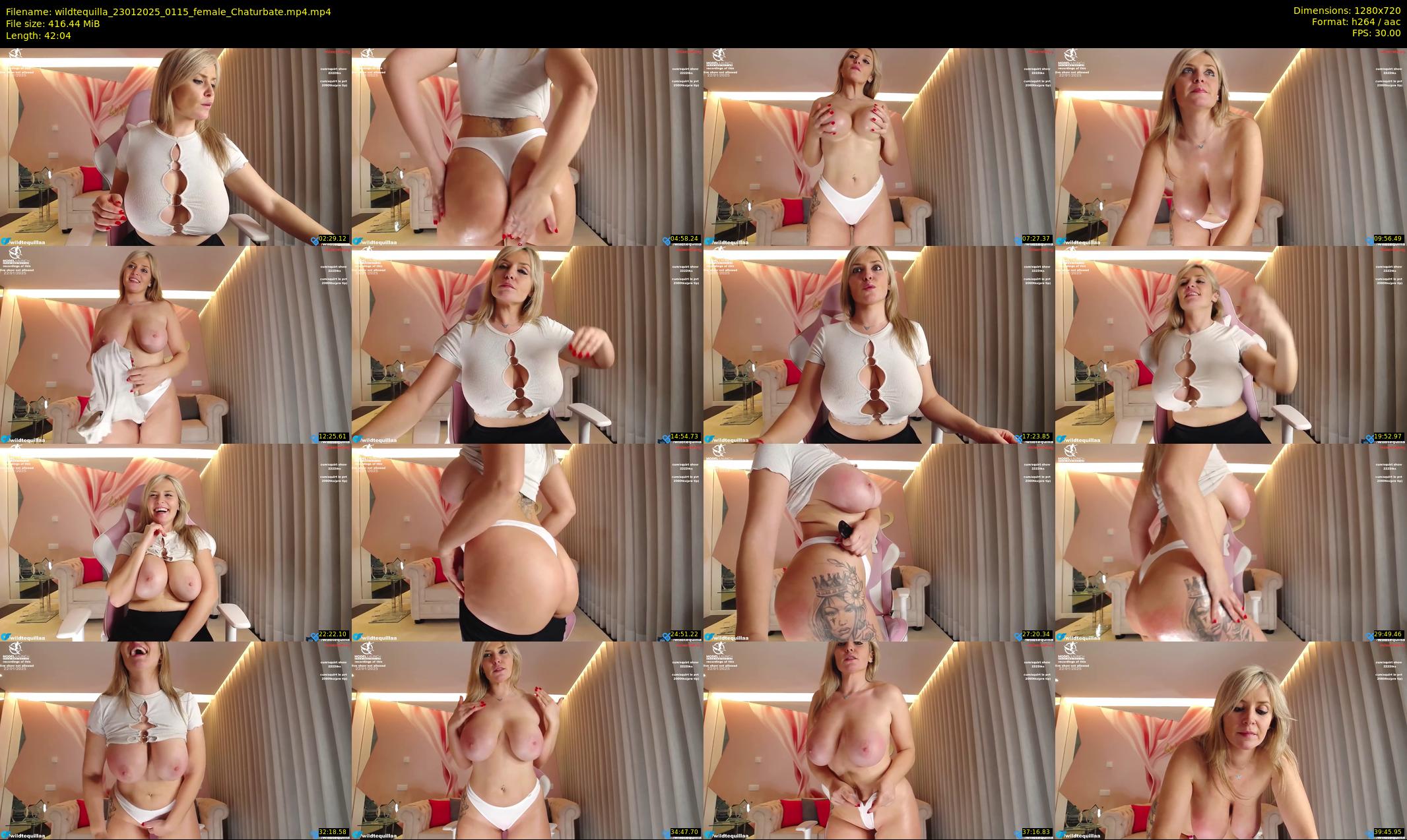wildtequilla — 43 minute Chaturbate couple cam show recording, 720p, Jan 23, 2025