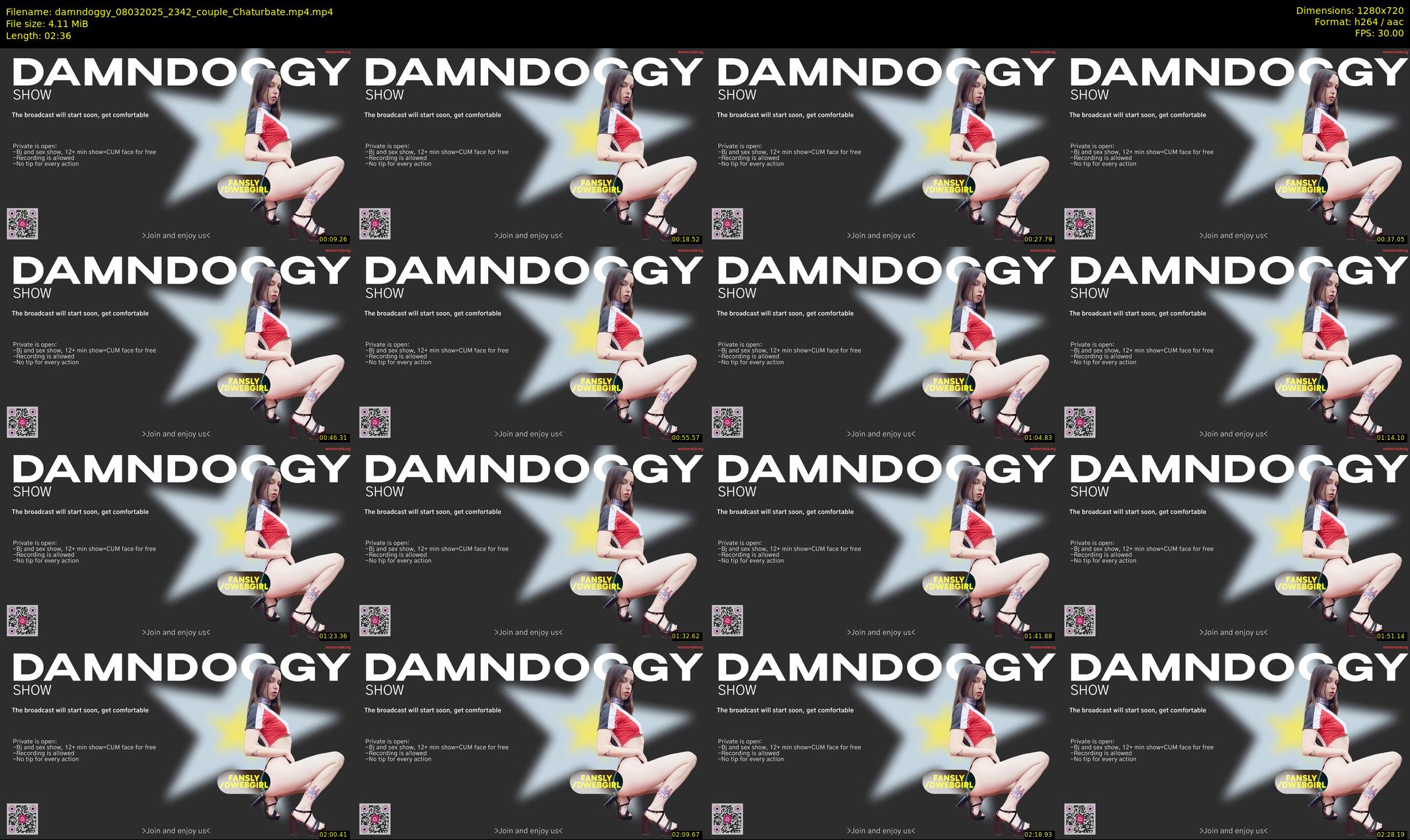 damndoggy — 3 minute Chaturbate couple cam show recording, 720p, Mar 8, 2025