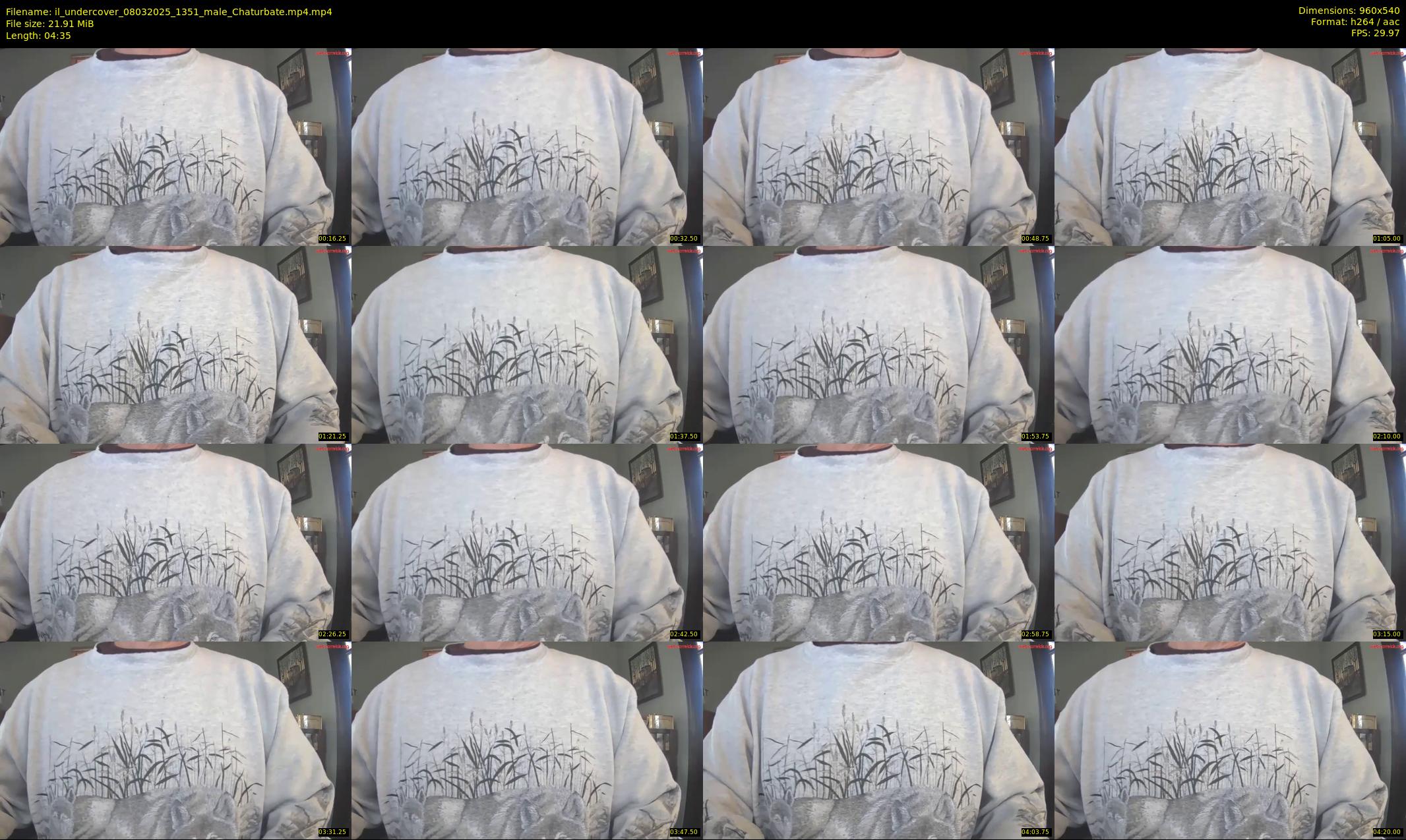 il_undercover — 5 minute Chaturbate male cam show recording, 480p, Mar 8, 2025