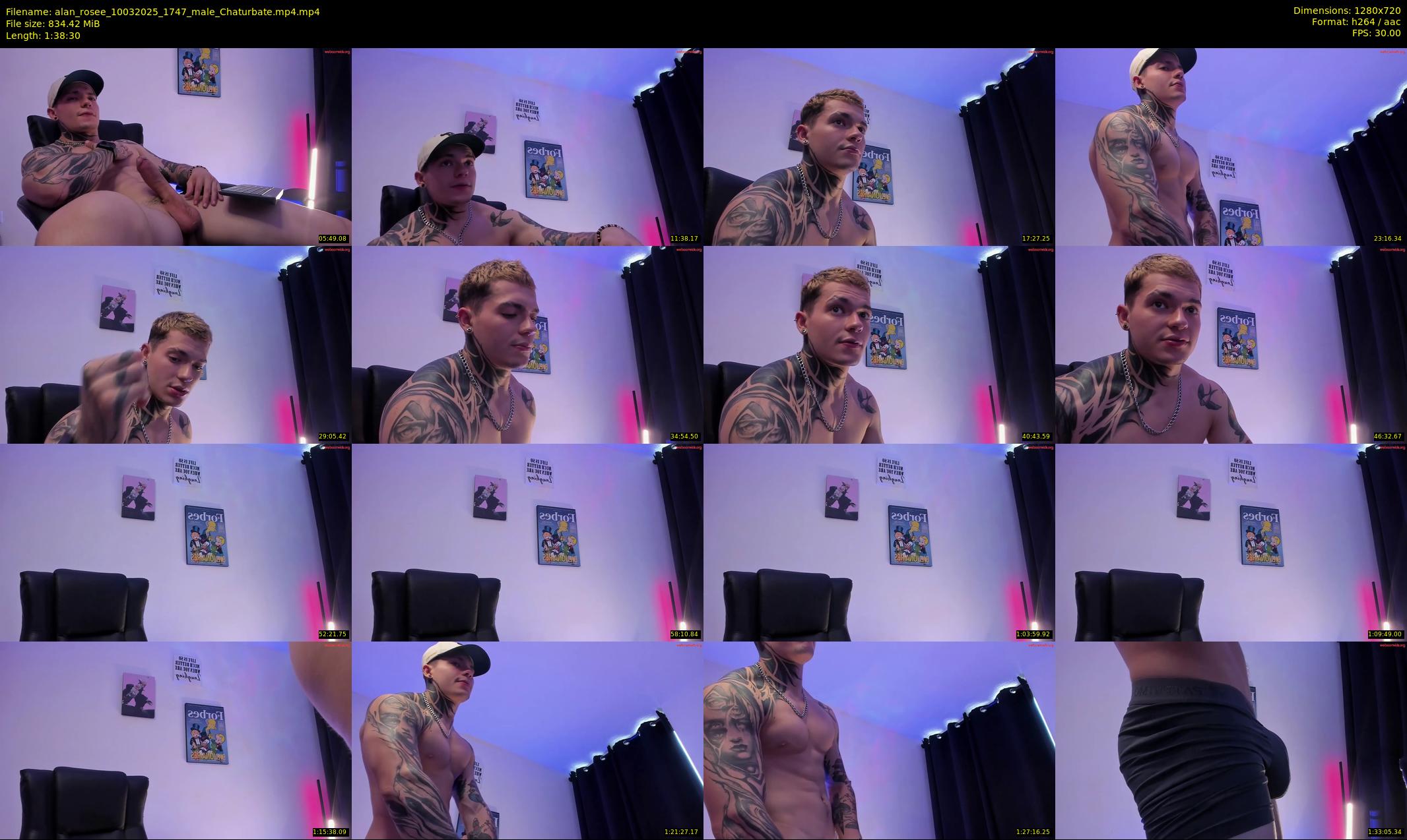 alan_rosee — 99 minute Chaturbate male cam show recording, 720p, Mar 10, 2025