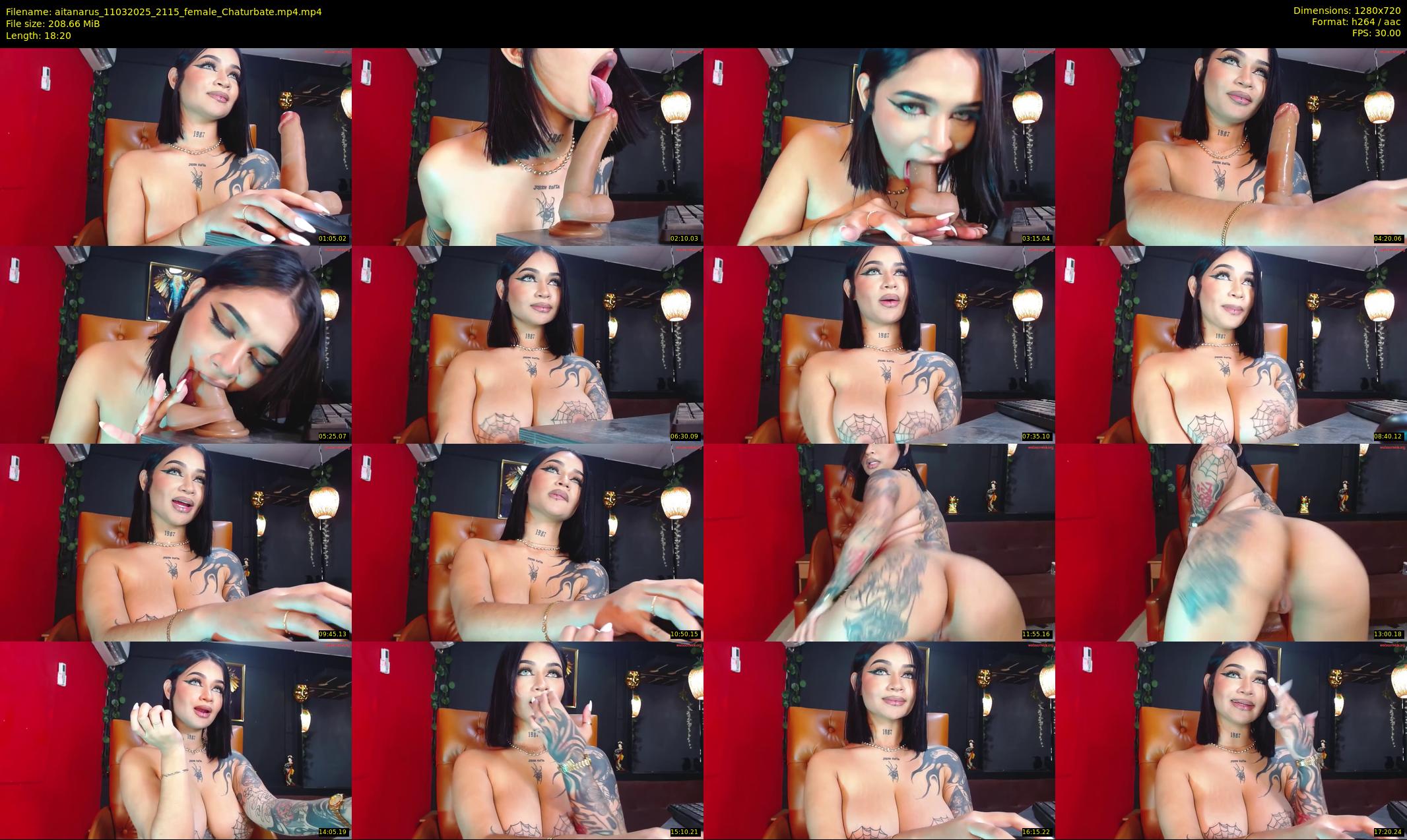 aitanarus — 19 minute Chaturbate female cam show recording, 720p, Mar 11, 2025