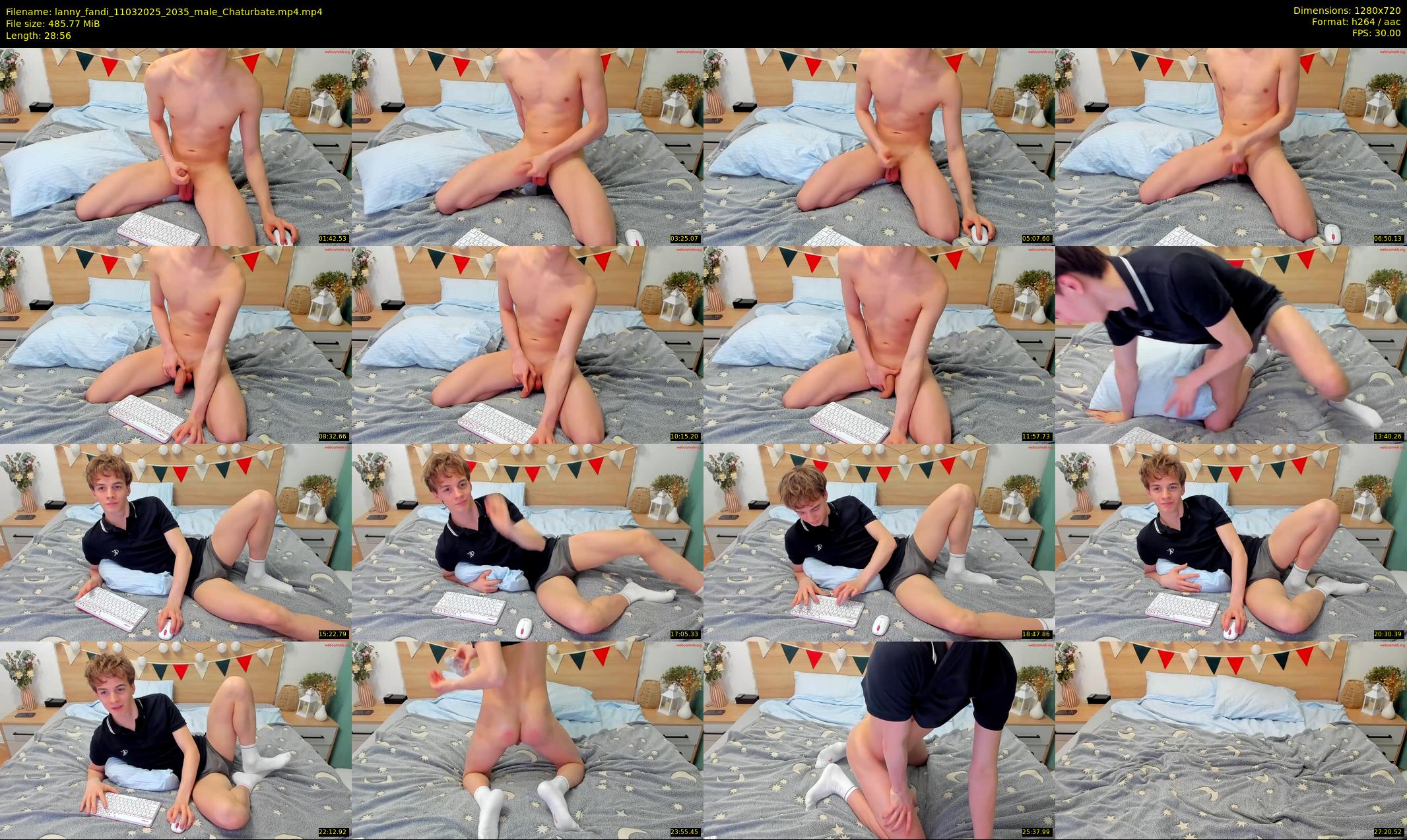 lanny_fandi — 29 minute Chaturbate male cam show recording, 720p, Mar 11, 2025
