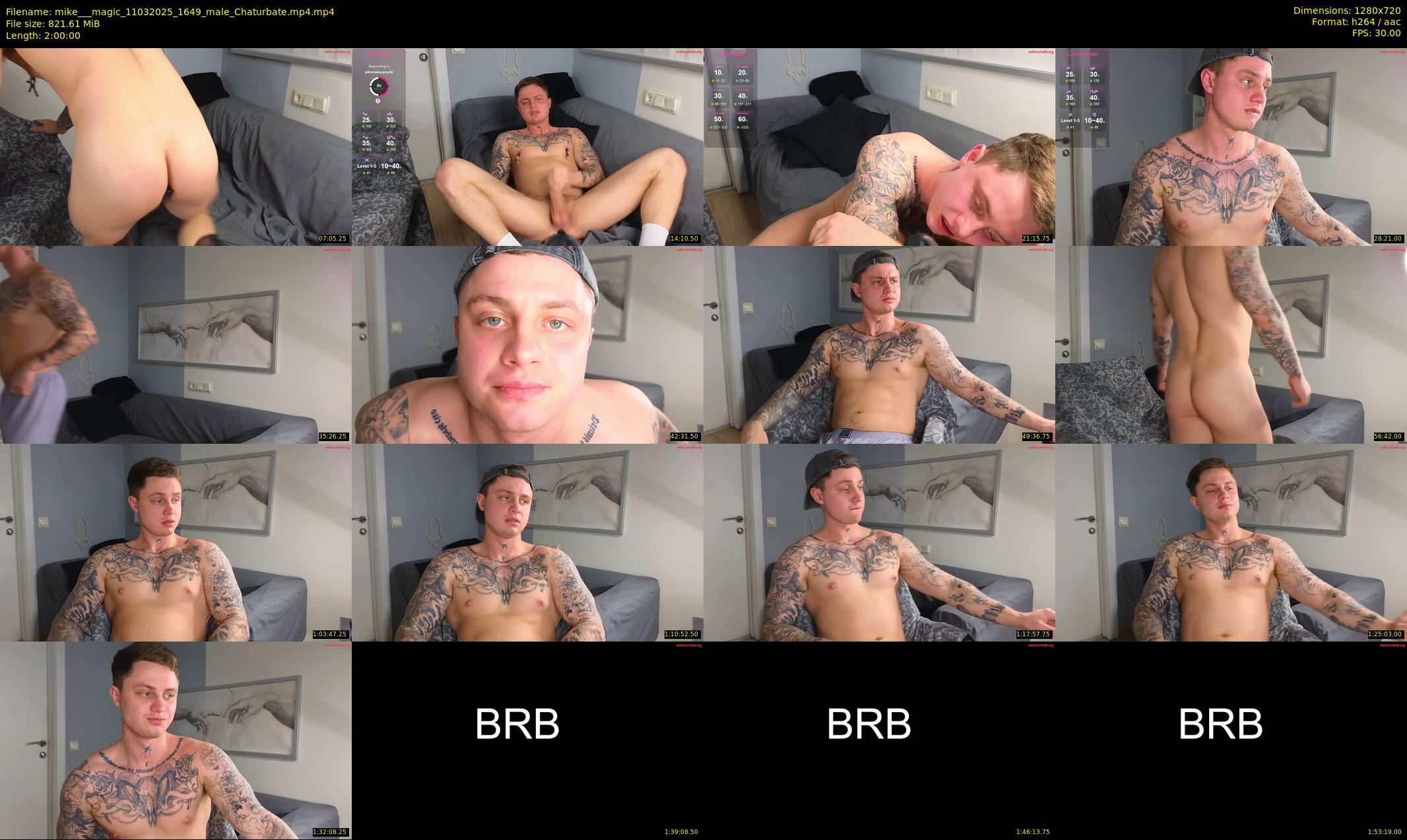 mike___magic — 120 minute Chaturbate male cam show recording, 720p, Mar 11, 2025