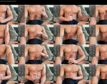 mrddiggler18 — 14 minute Chaturbate male cam show recording, 480p, Mar 11, 2025