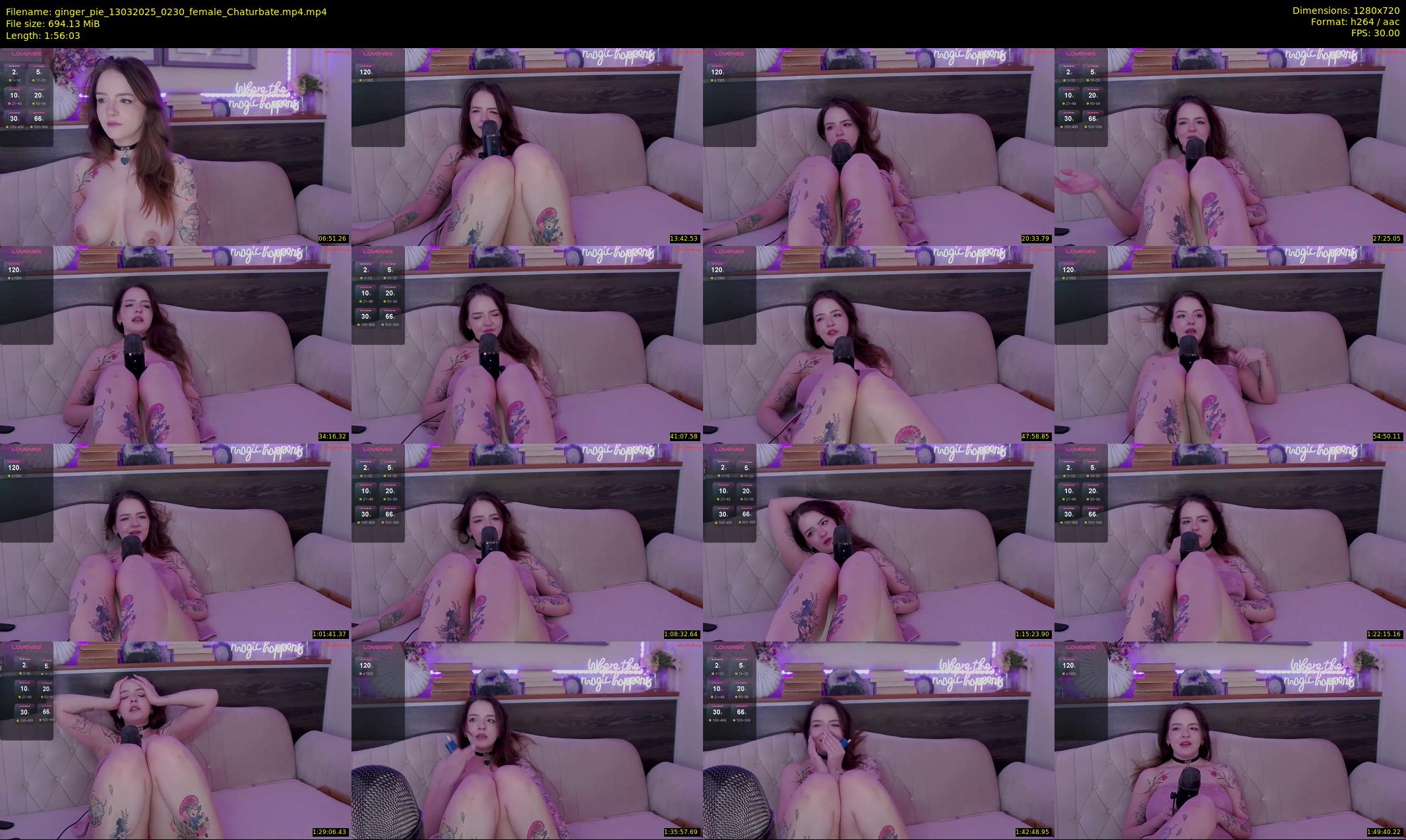 ginger_pie — 117 minute Chaturbate female cam show recording, 720p, Mar 13, 2025