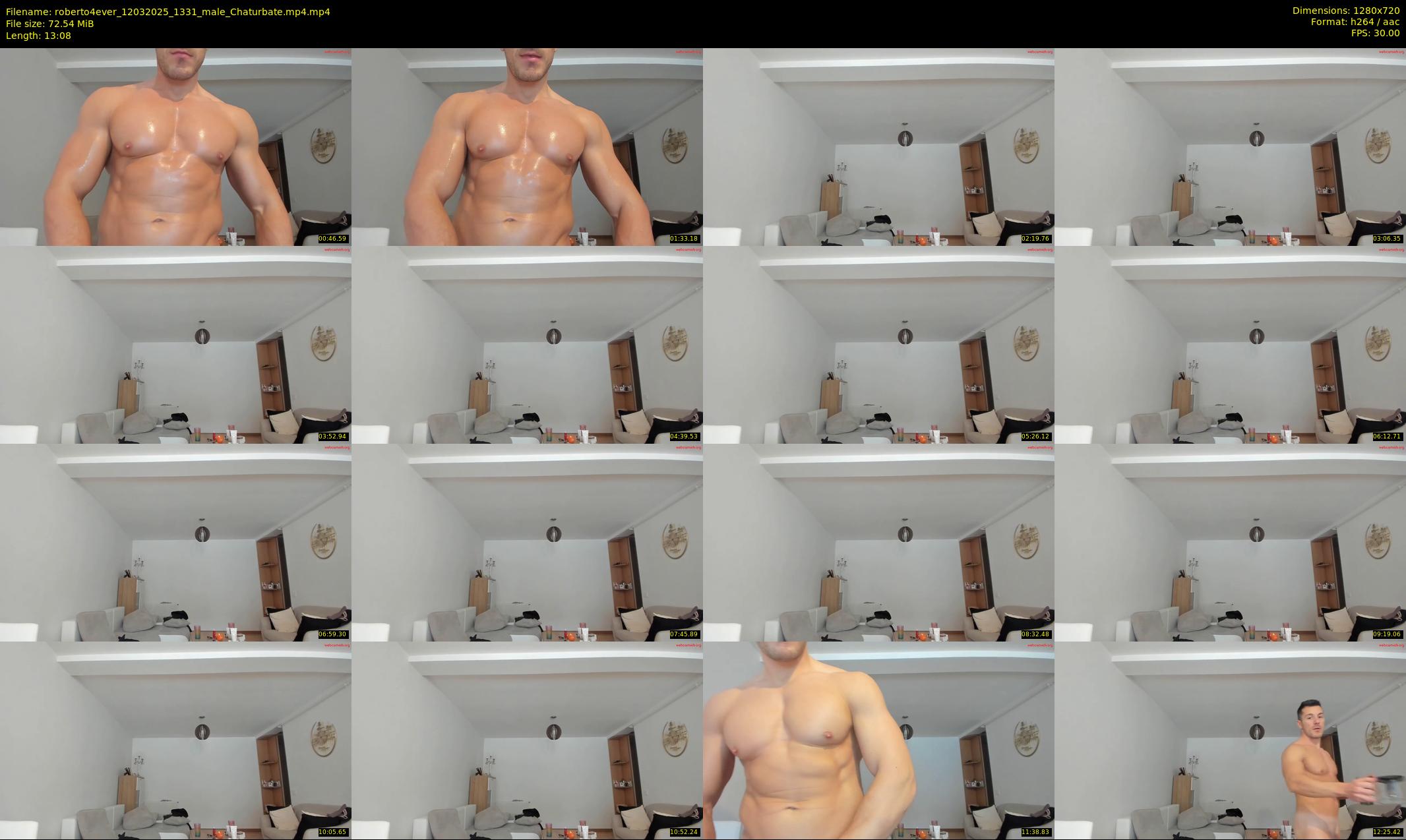 roberto4ever — 14 minute Chaturbate male cam show recording, 720p, Mar 12, 2025