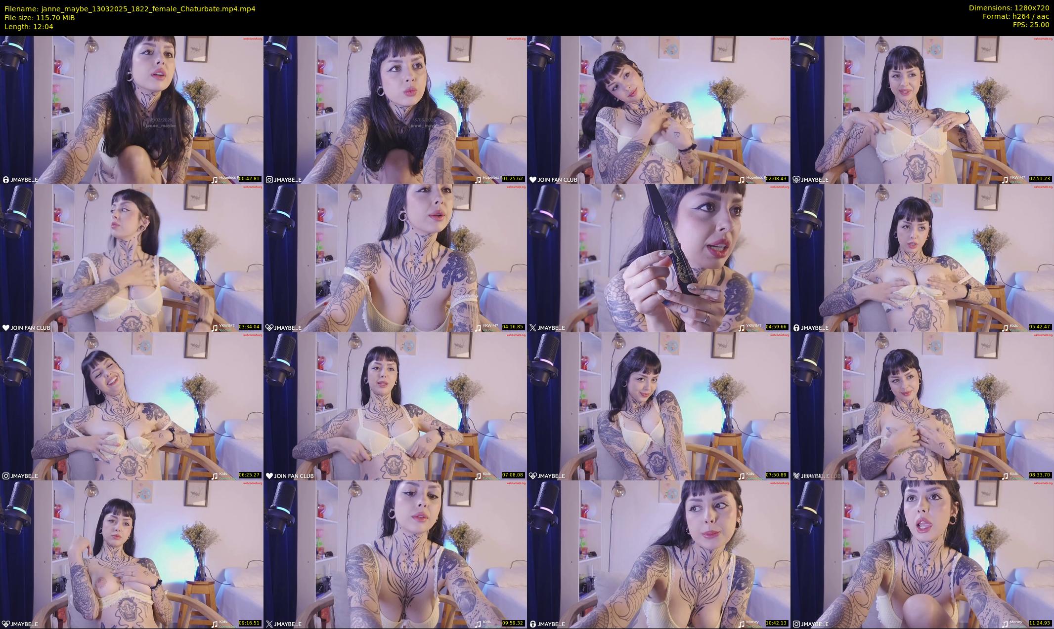 janne_maybe — 13 minute Chaturbate female cam show recording, 720p, Mar 13, 2025