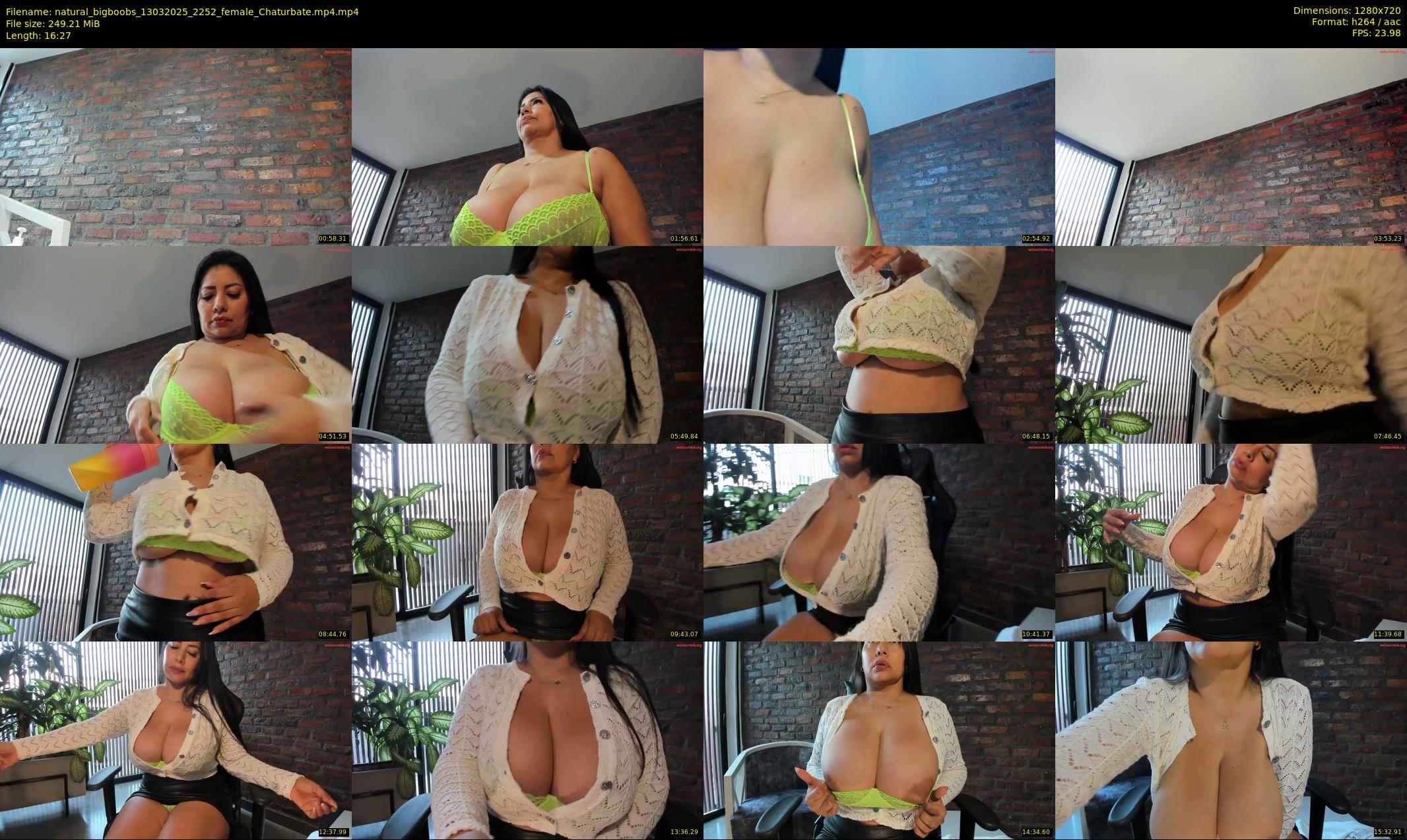 natural_bigboobs — 17 minute Chaturbate female cam show recording, 720p, Mar 13, 2025
