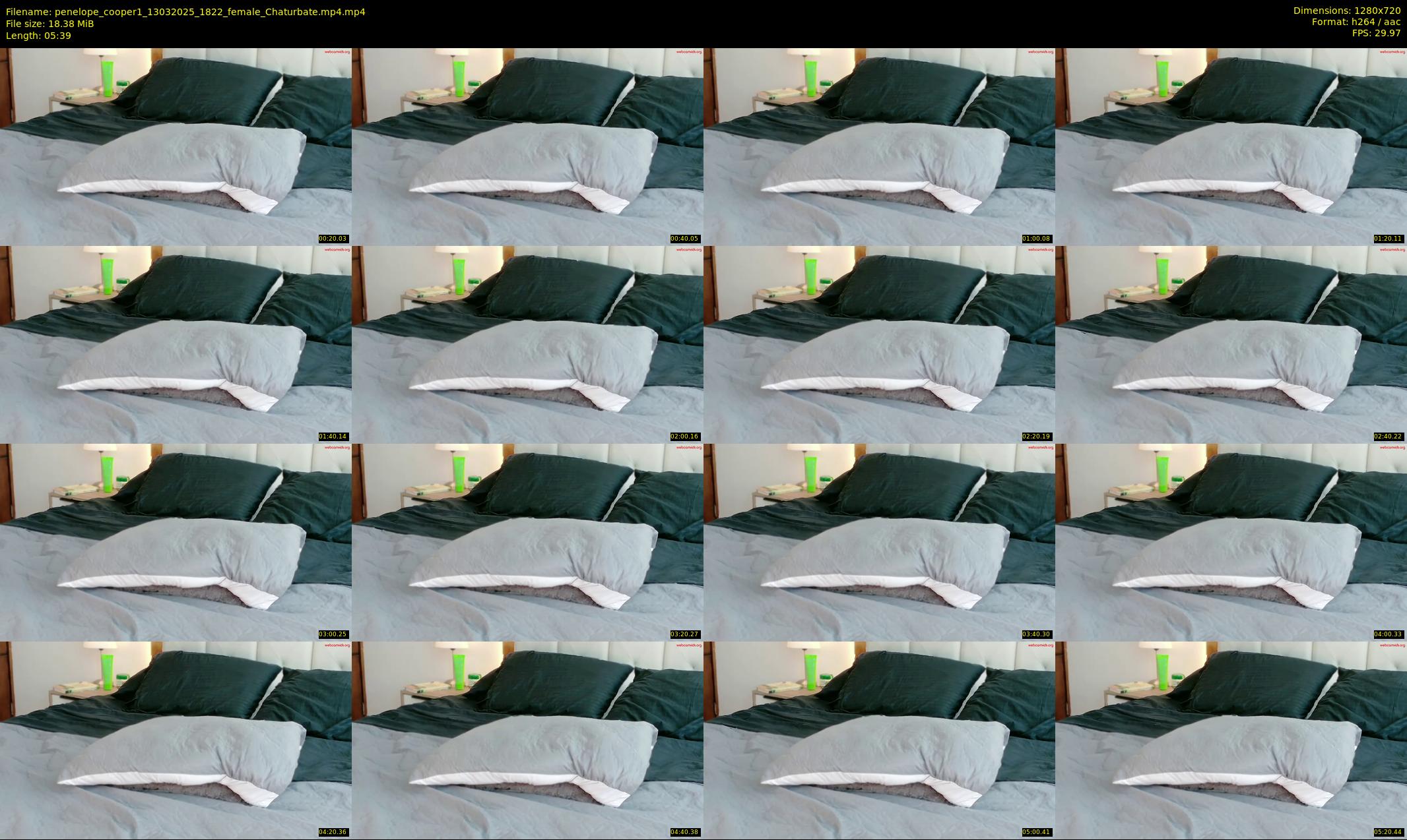 penelope_cooper1 — 6 minute Chaturbate female cam show recording, 720p, Mar 13, 2025