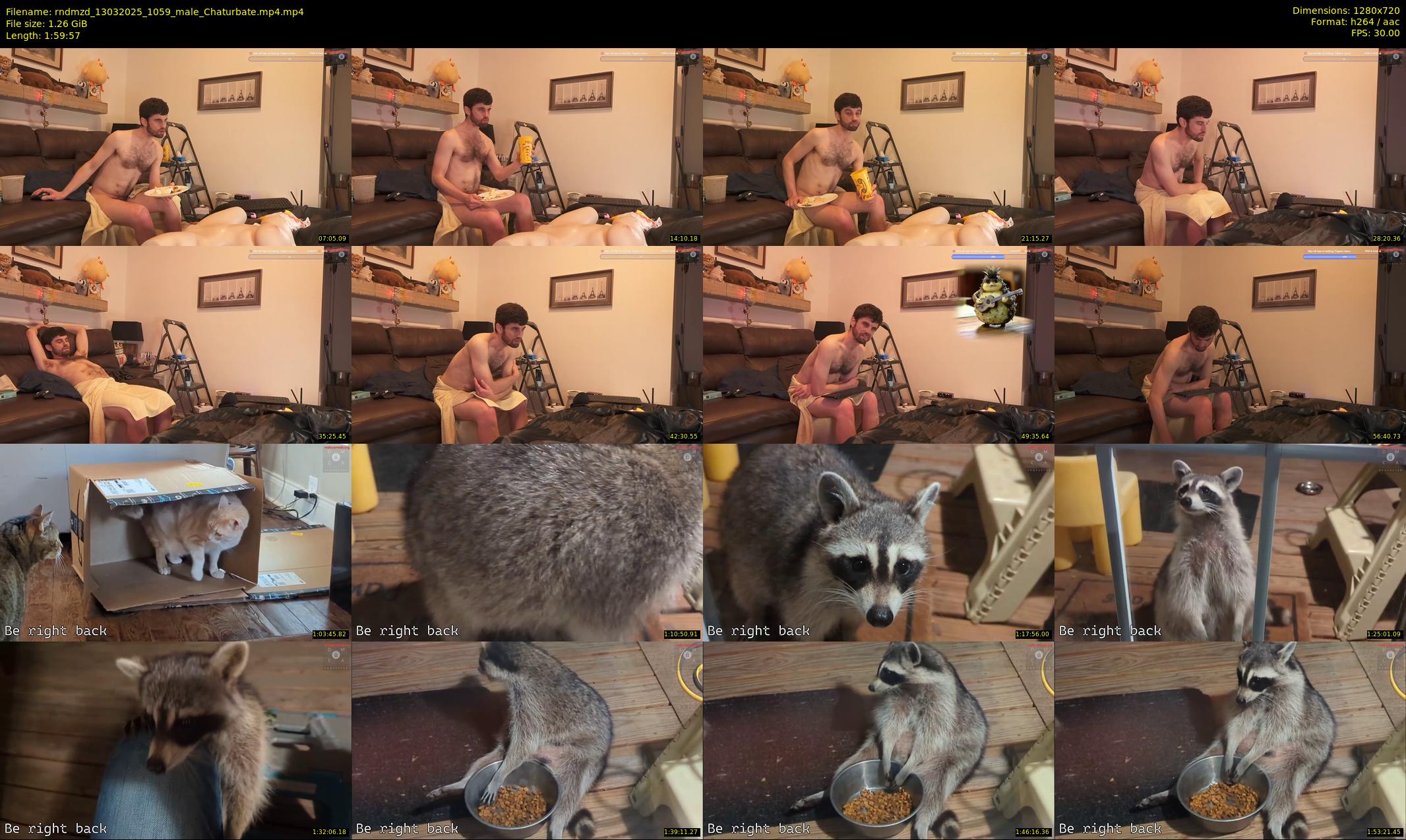 rndmzd — 120 minute Chaturbate male cam show recording, 720p, Mar 13, 2025