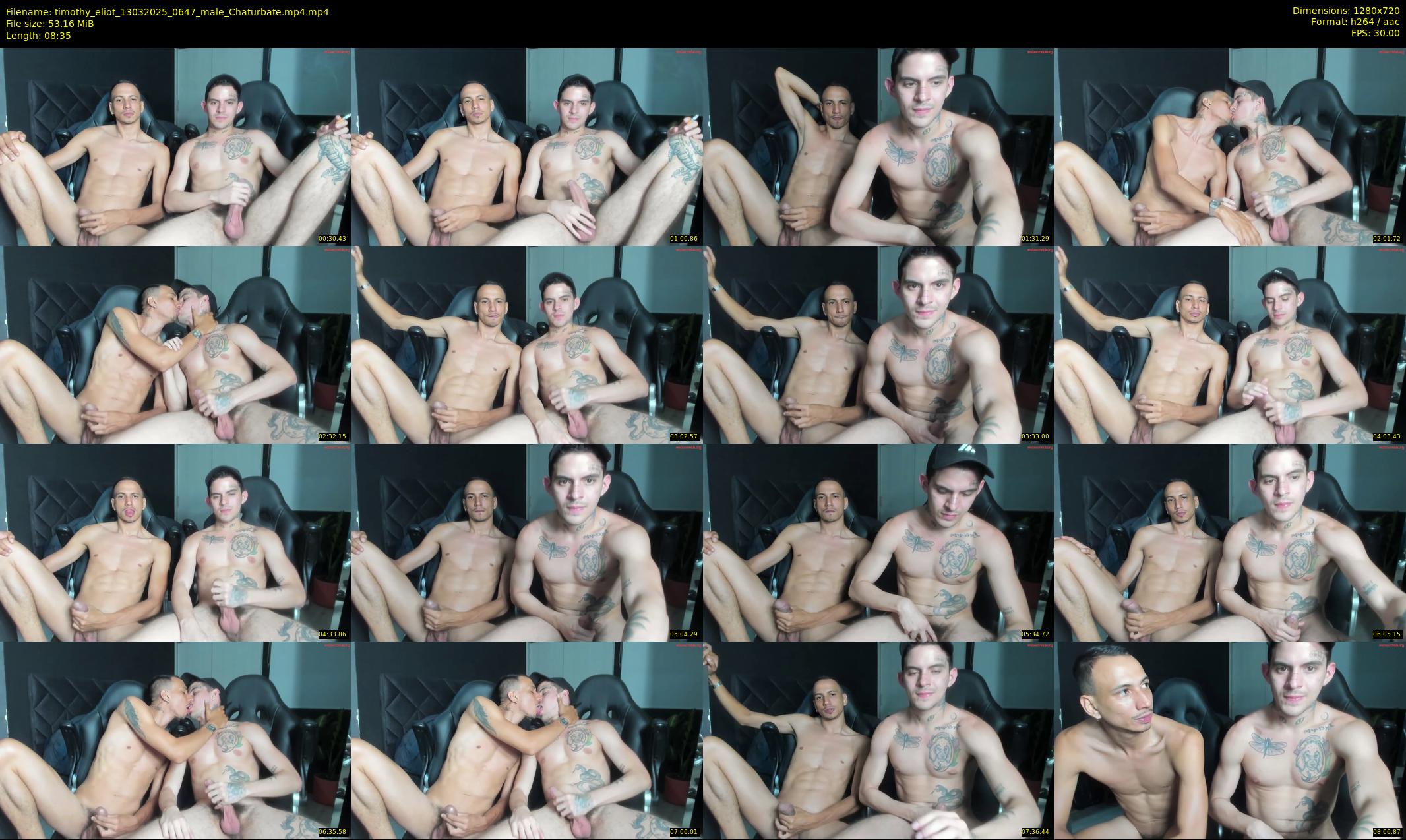 timothy_eliot — 9 minute Chaturbate male cam show recording, 720p, Mar 13, 2025