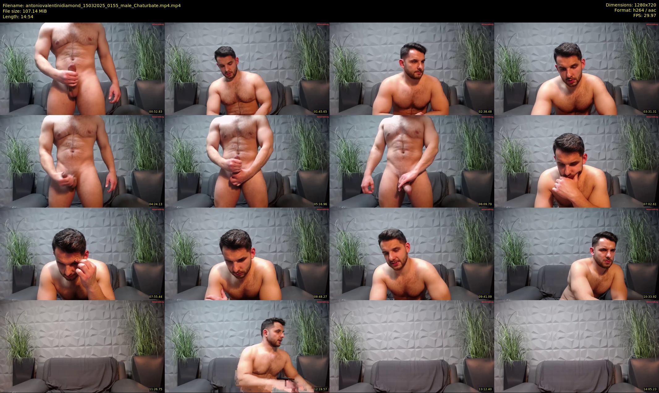 antoniovalentinidiamond — 15 minute Chaturbate male cam show recording, 720p, Mar 15, 2025
