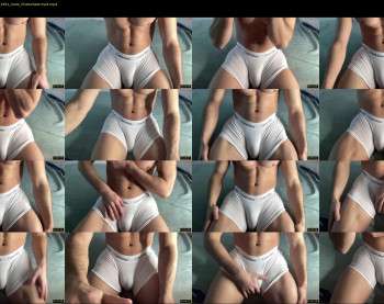 bestdick1991 — 47 minute Chaturbate male cam show recording, 720p, Mar 14, 2025