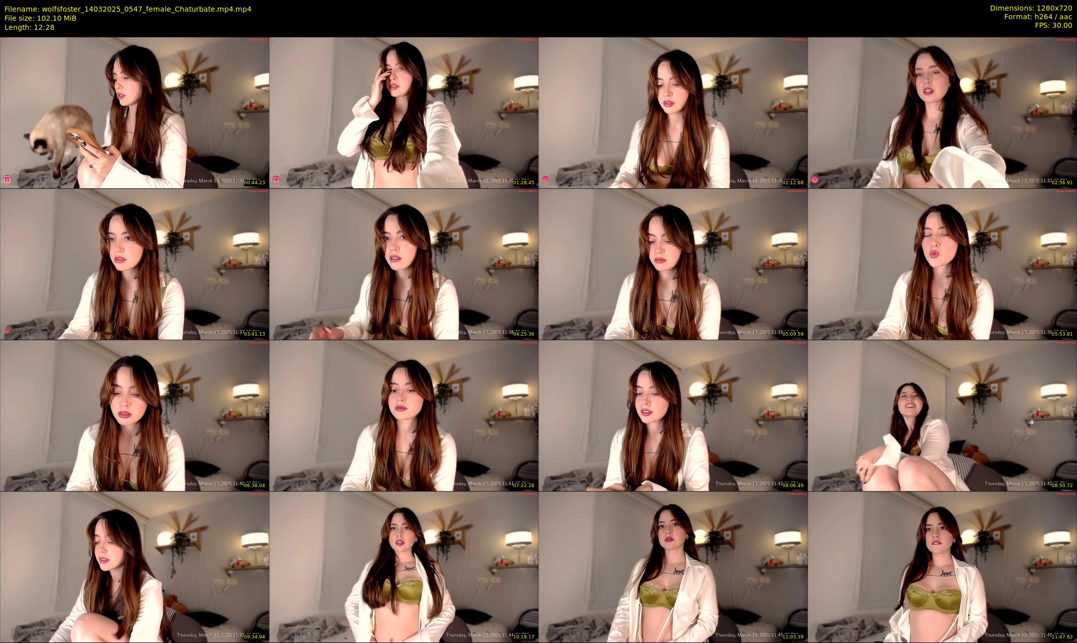 wolfsfoster — 13 minute Chaturbate couple cam show recording, 720p, Mar 14, 2025