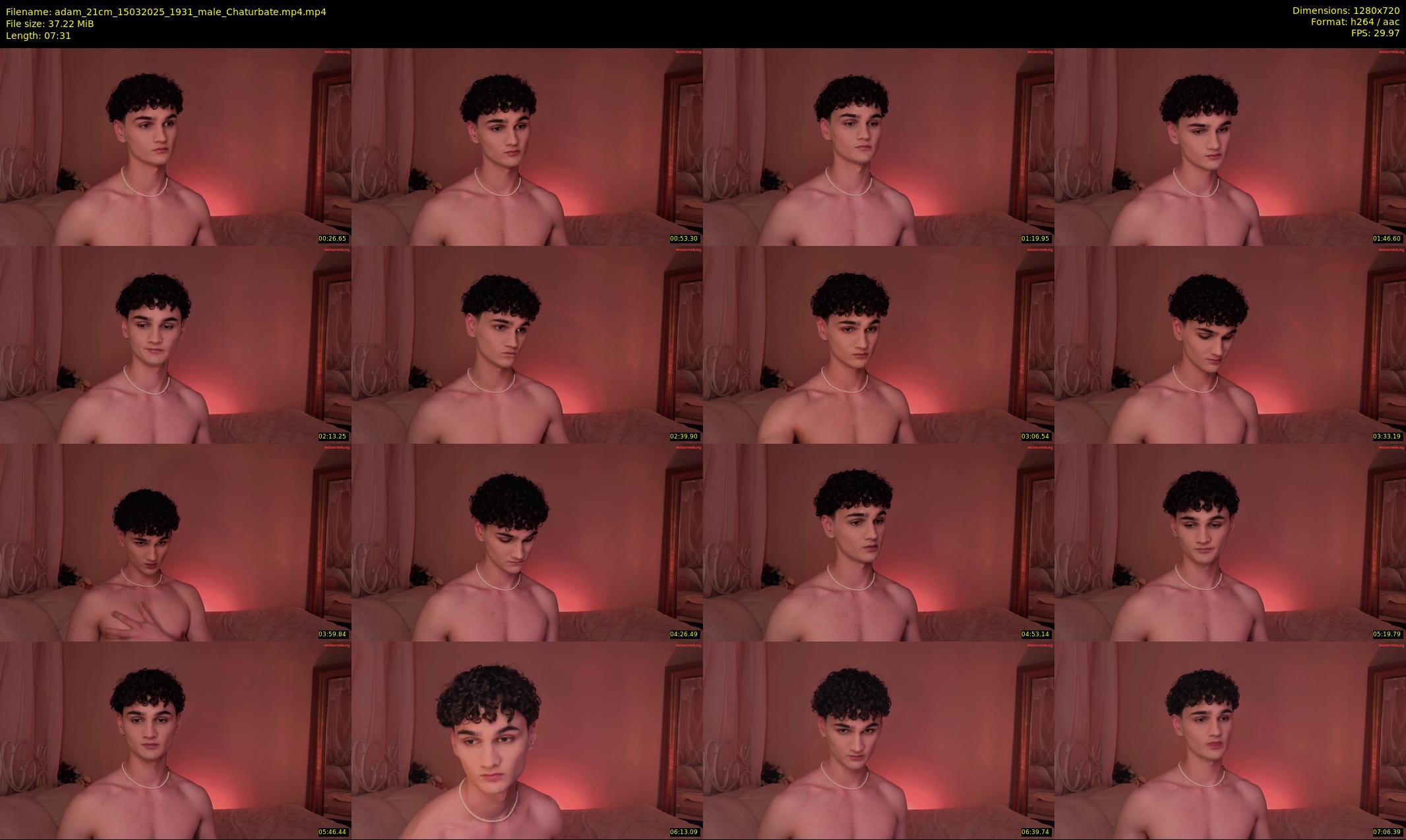 adam_21cm — 8 minute Chaturbate male cam show recording, 720p, Mar 15, 2025