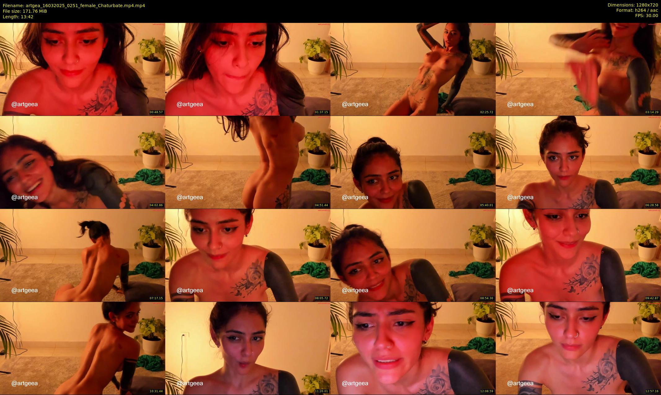 artgea — 14 minute Chaturbate female cam show recording, 720p, Mar 16, 2025