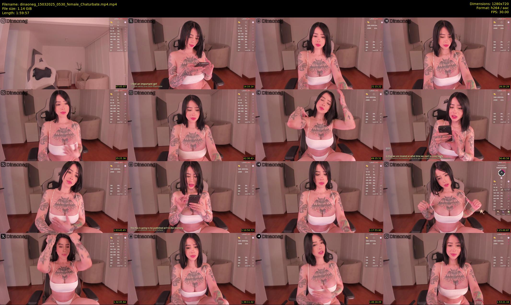 dinaoneg — 120 minute Chaturbate female cam show recording, 720p, Mar 15, 2025