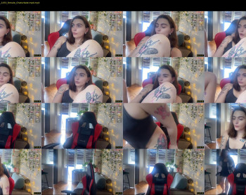 dorfmatratze_ — 14 minute Chaturbate female cam show recording, 720p, Mar 15, 2025