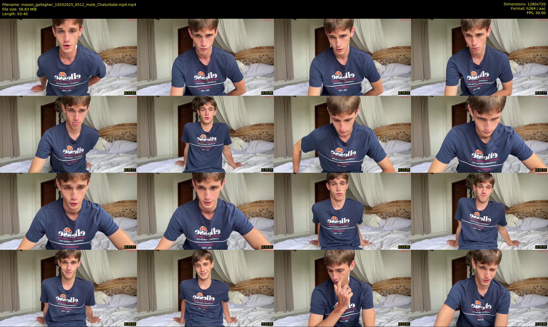 mason_gallagher — 4 minute Chaturbate male cam show recording, 720p, Mar 15, 2025