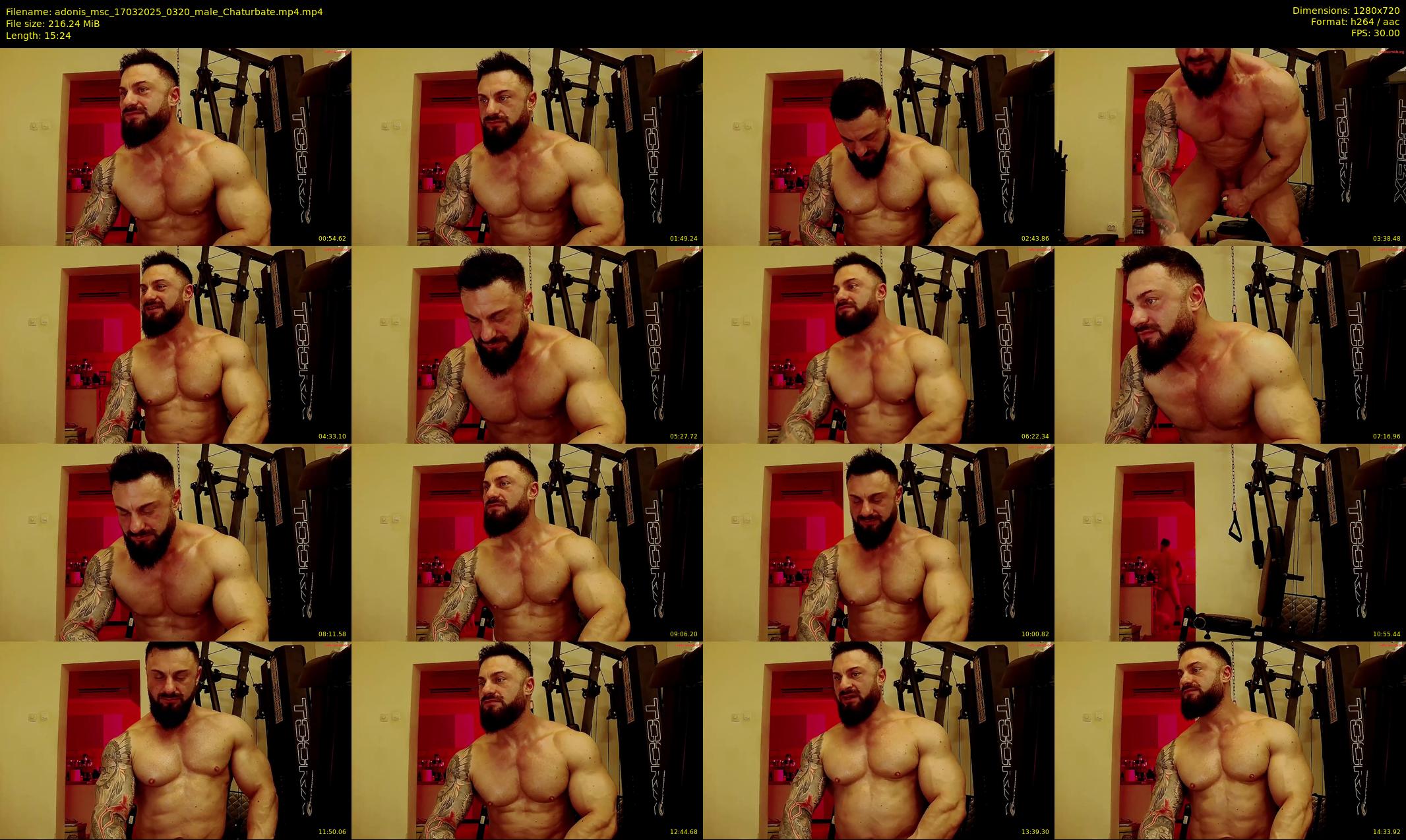 adonis_msc — 16 minute Chaturbate male cam show recording, 720p, Mar 17, 2025
