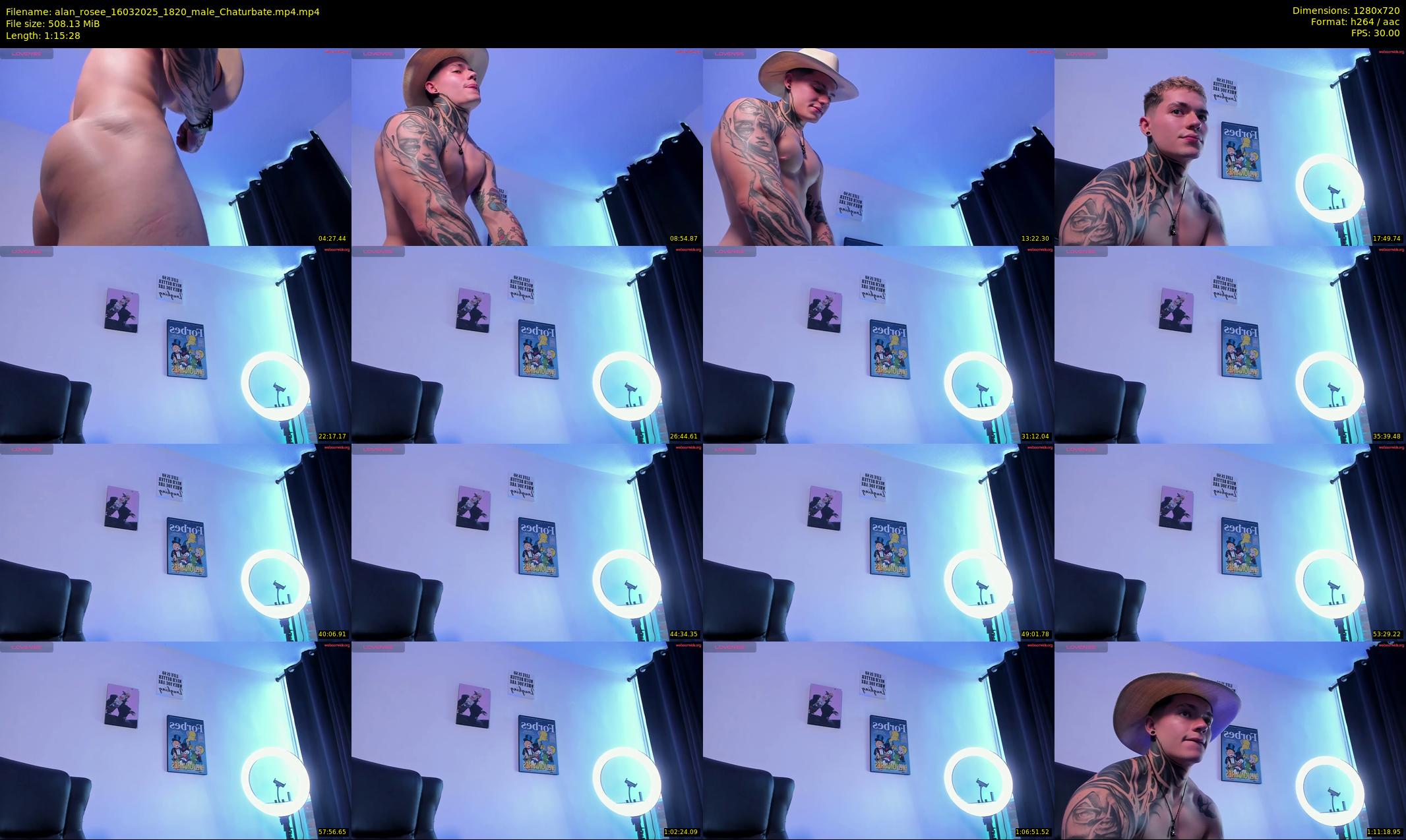 alan_rosee — 76 minute Chaturbate male cam show recording, 720p, Mar 16, 2025
