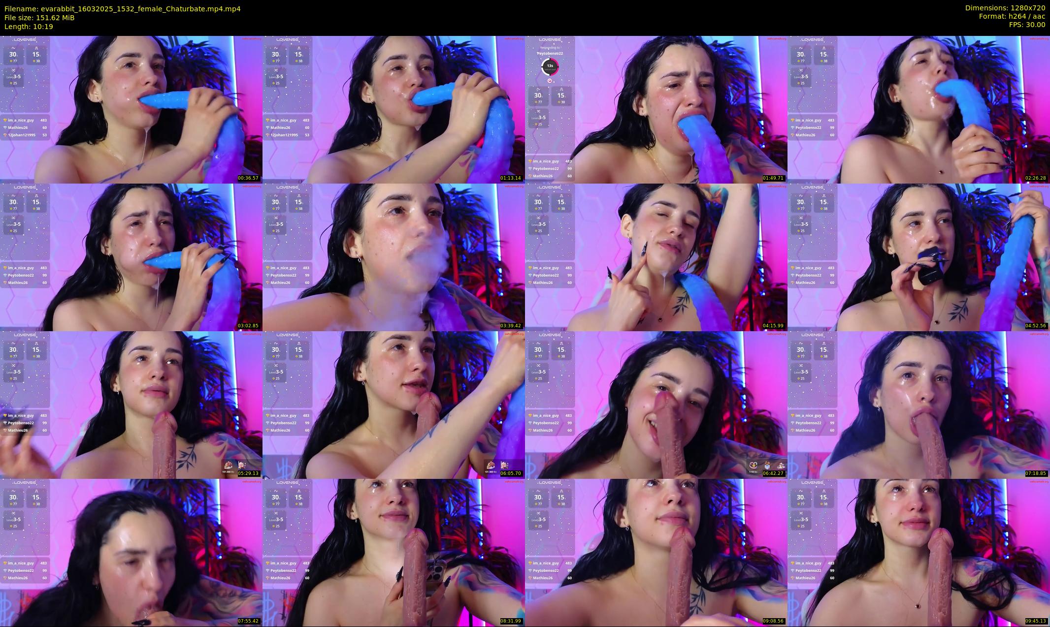 evarabbit — 11 minute Chaturbate female cam show recording, 720p, Mar 16, 2025
