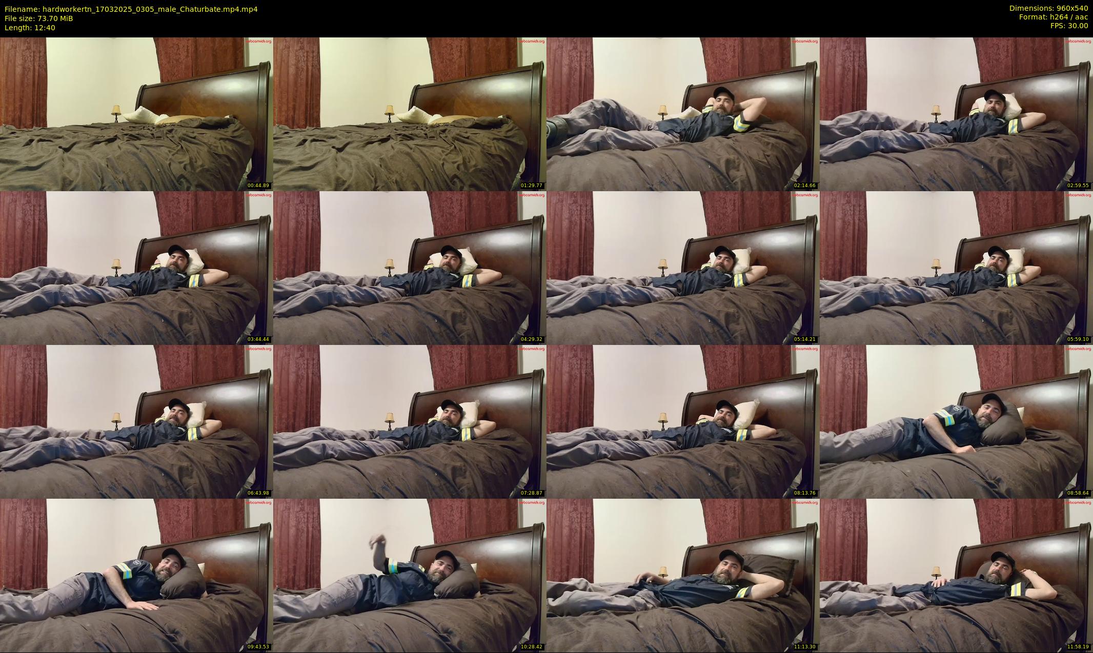 hardworkertn — 13 minute Chaturbate male cam show recording, 480p, Mar 17, 2025