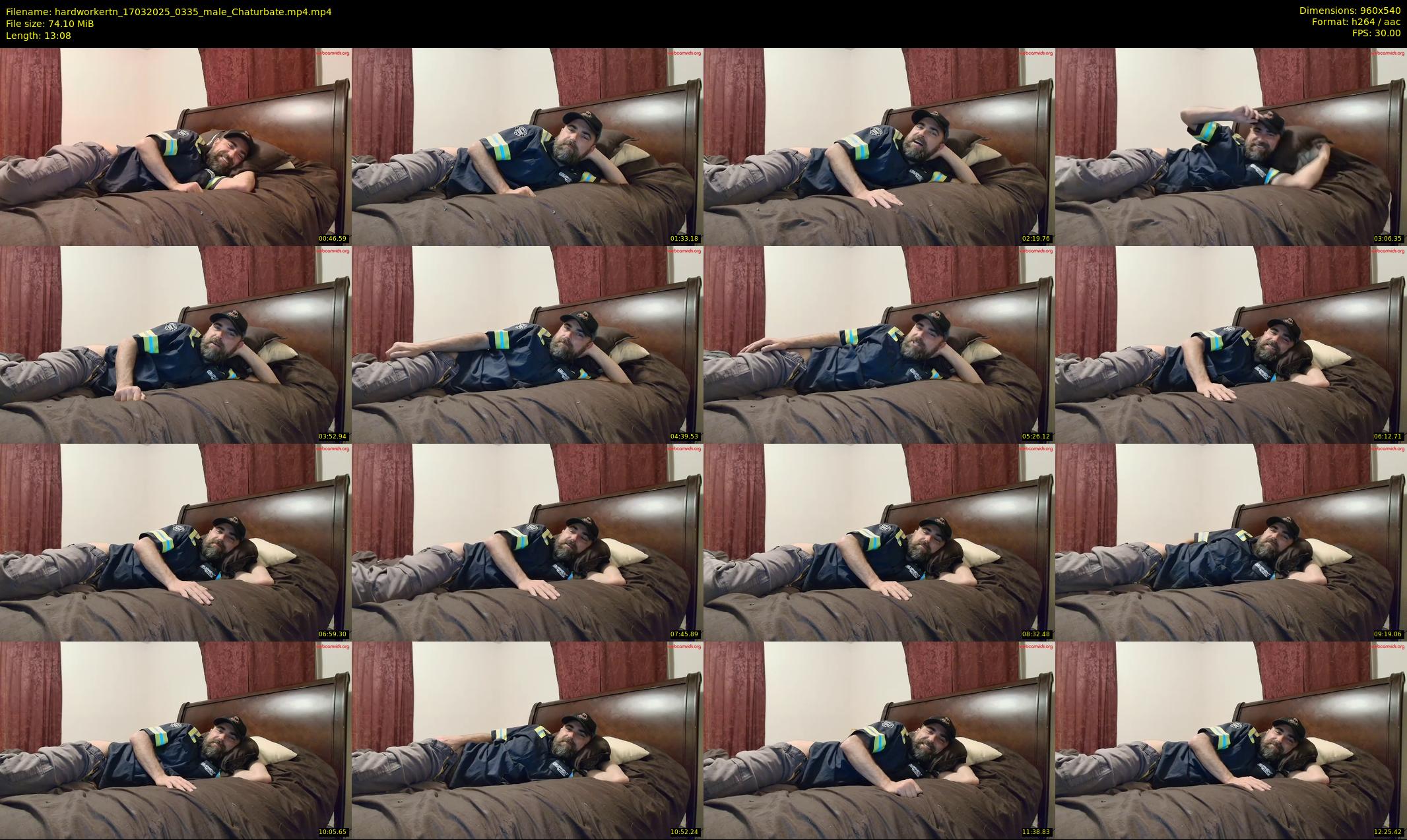 hardworkertn — 14 minute Chaturbate male cam show recording, 480p, Mar 17, 2025