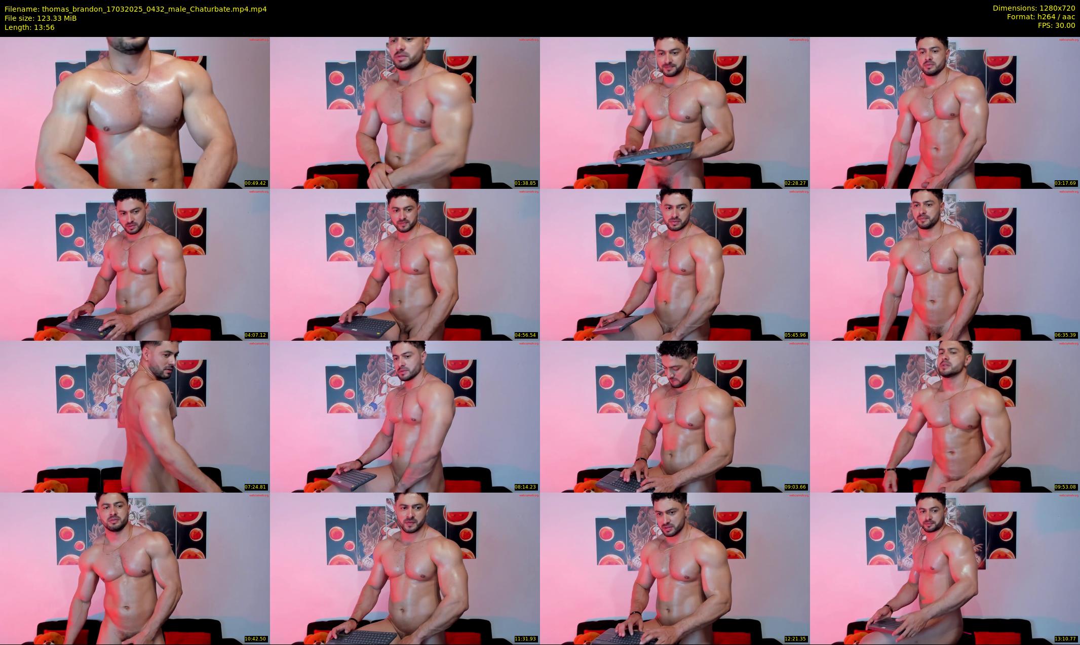 thomas_brandon — 14 minute Chaturbate male cam show recording, 720p, Mar 17, 2025
