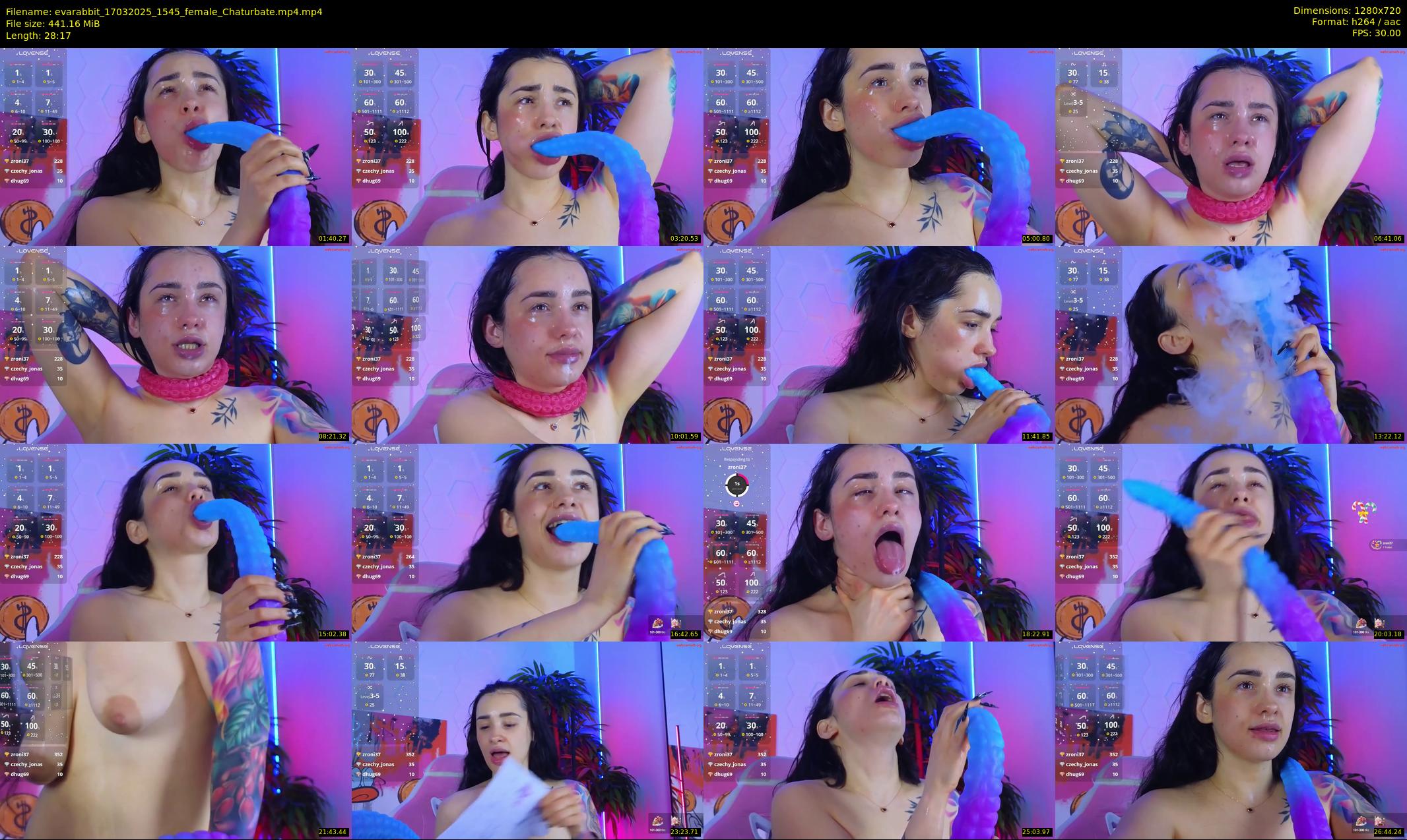 evarabbit — 29 minute Chaturbate female cam show recording, 720p, Mar 17, 2025