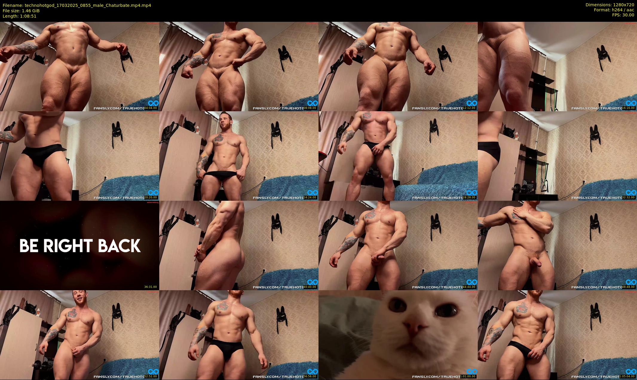 technohotgod — 69 minute Chaturbate male cam show recording, 720p, Mar 17, 2025
