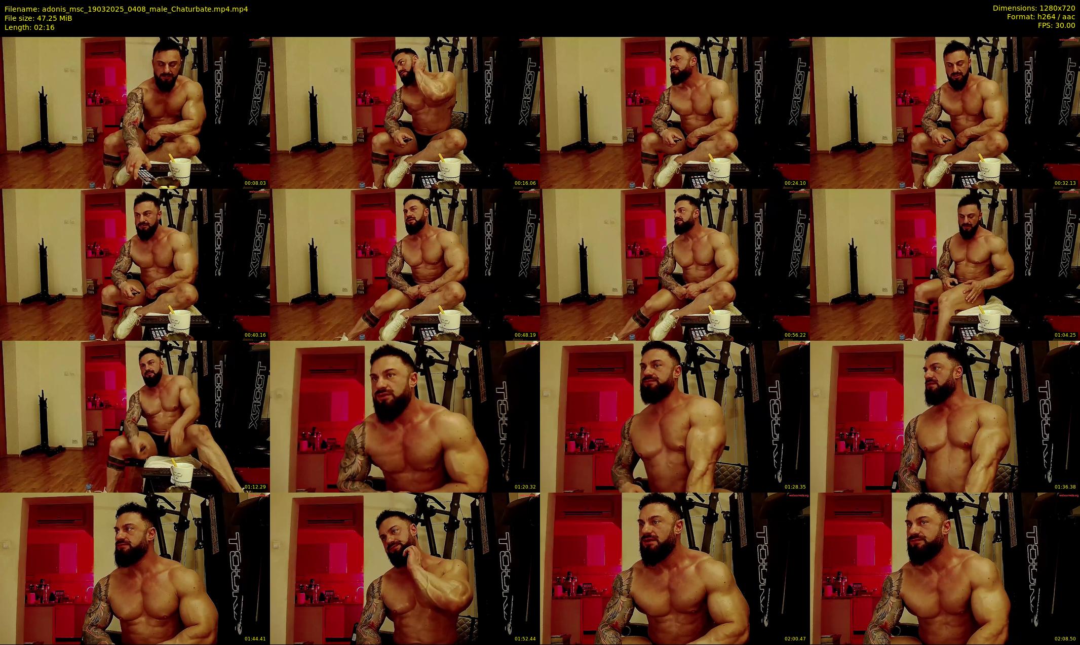 adonis_msc — 3 minute Chaturbate male cam show recording, 720p, Mar 19, 2025