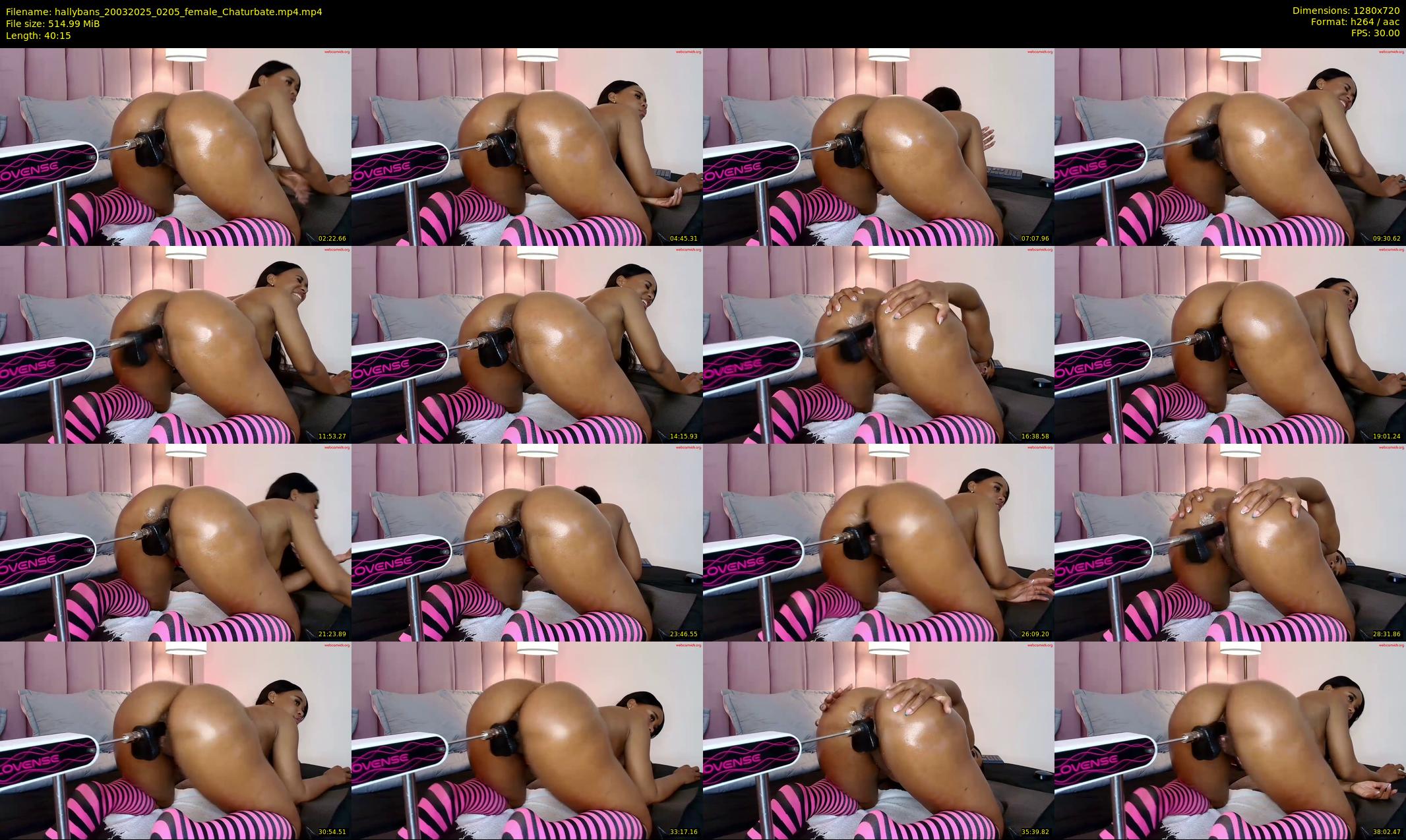 hallybans — 41 minute Chaturbate female cam show recording, 720p, Mar 20, 2025