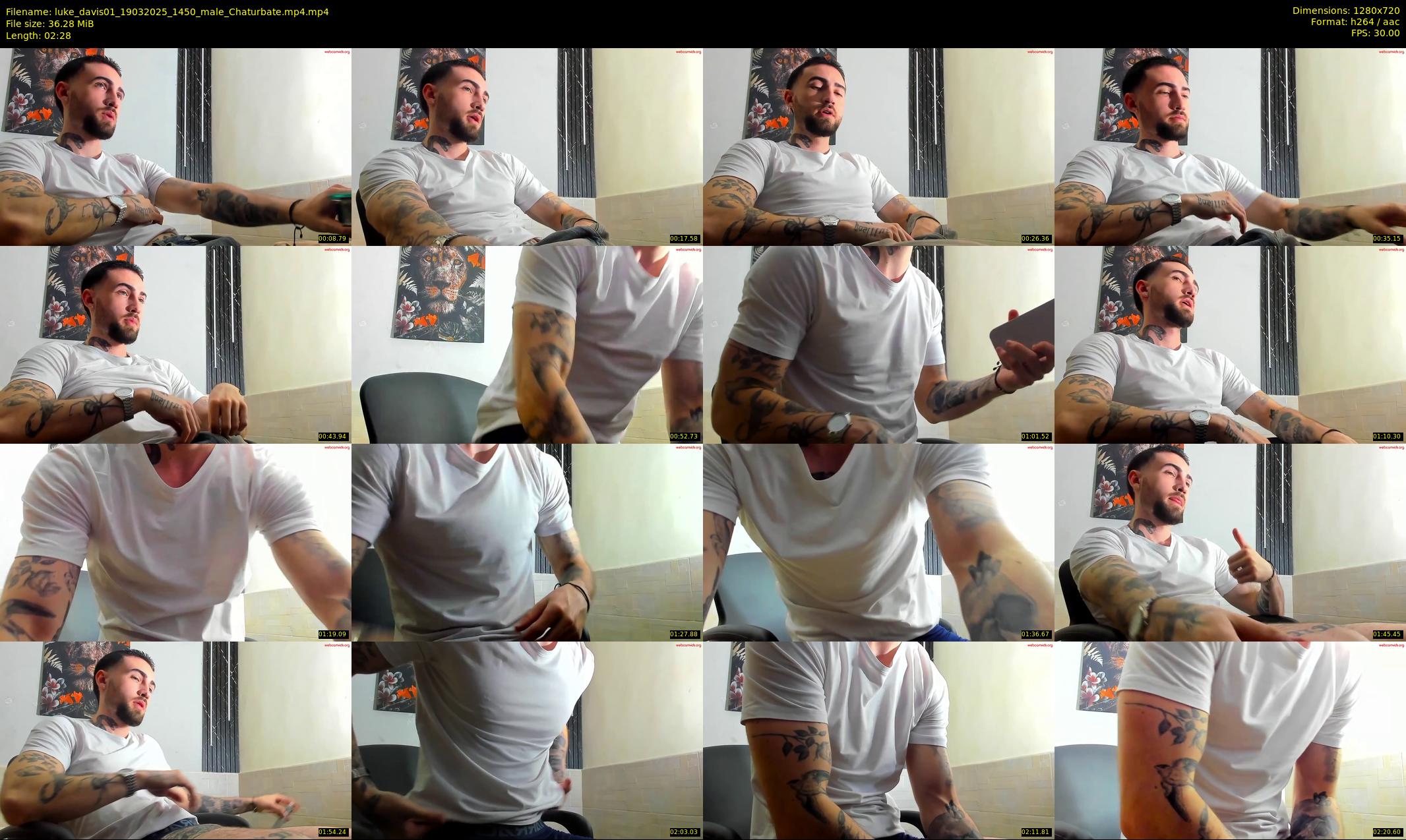 luke_davis01 — 3 minute Chaturbate male cam show recording, 720p, Mar 19, 2025