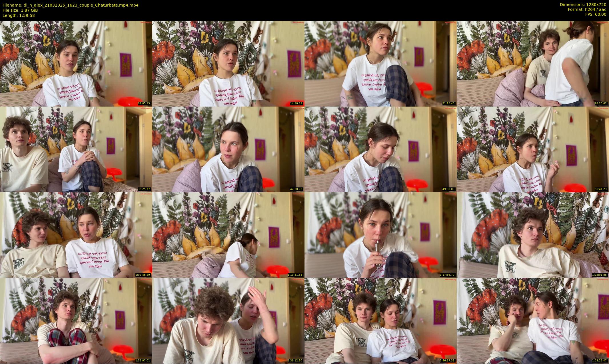 di_n_alex — 120 minute Chaturbate couple cam show recording, 720p, Mar 21, 2025
