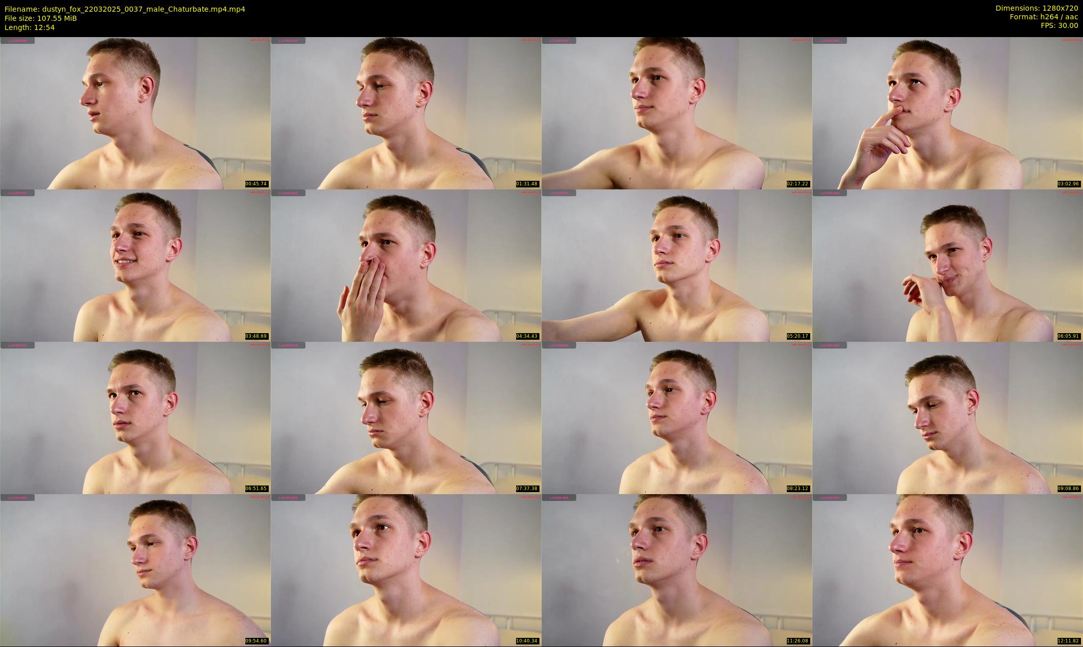 dustyn_fox — 13 minute Chaturbate male cam show recording, 720p, Mar 22, 2025