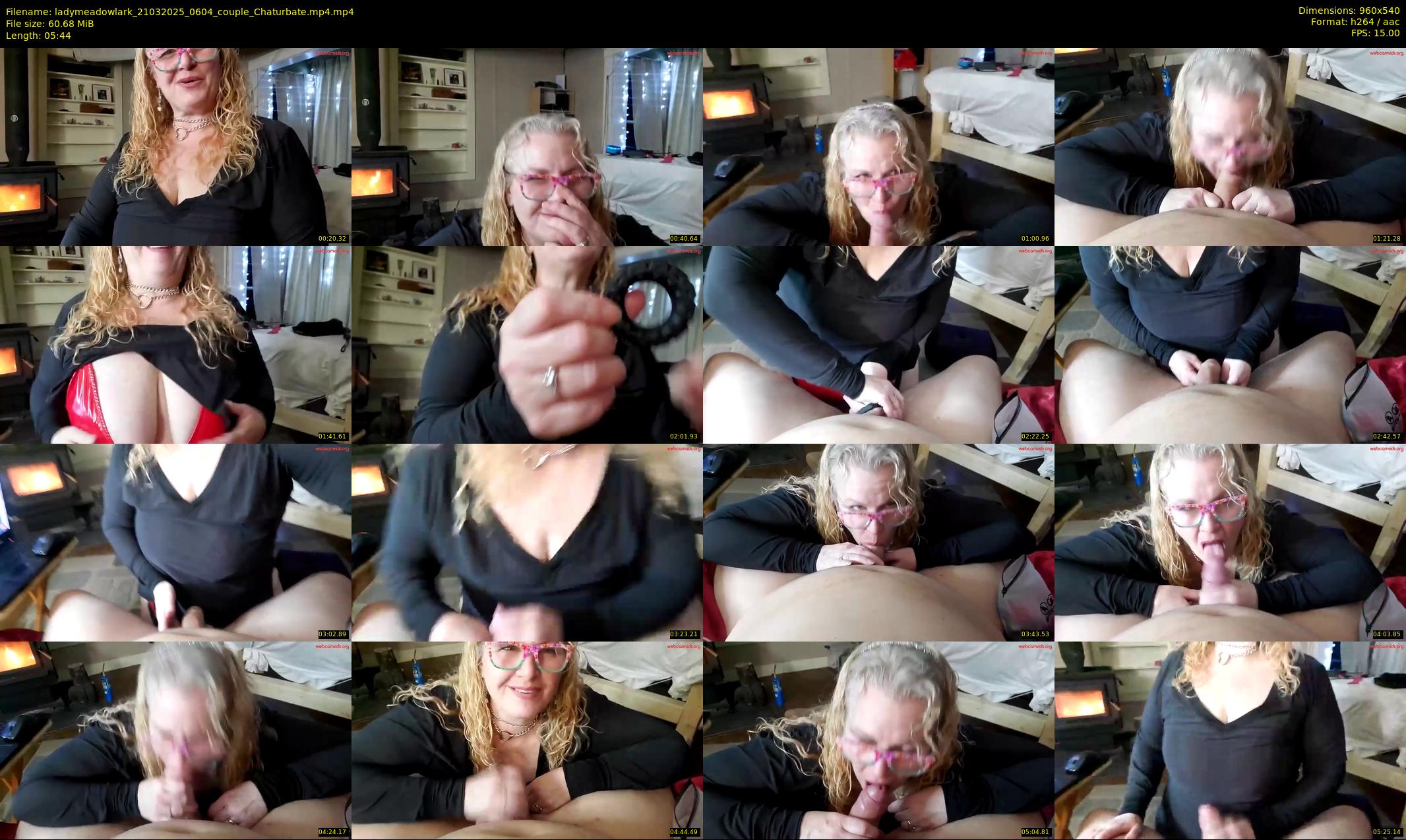 ladymeadowlark — 6 minute Chaturbate couple cam show recording, 480p, Mar 21, 2025