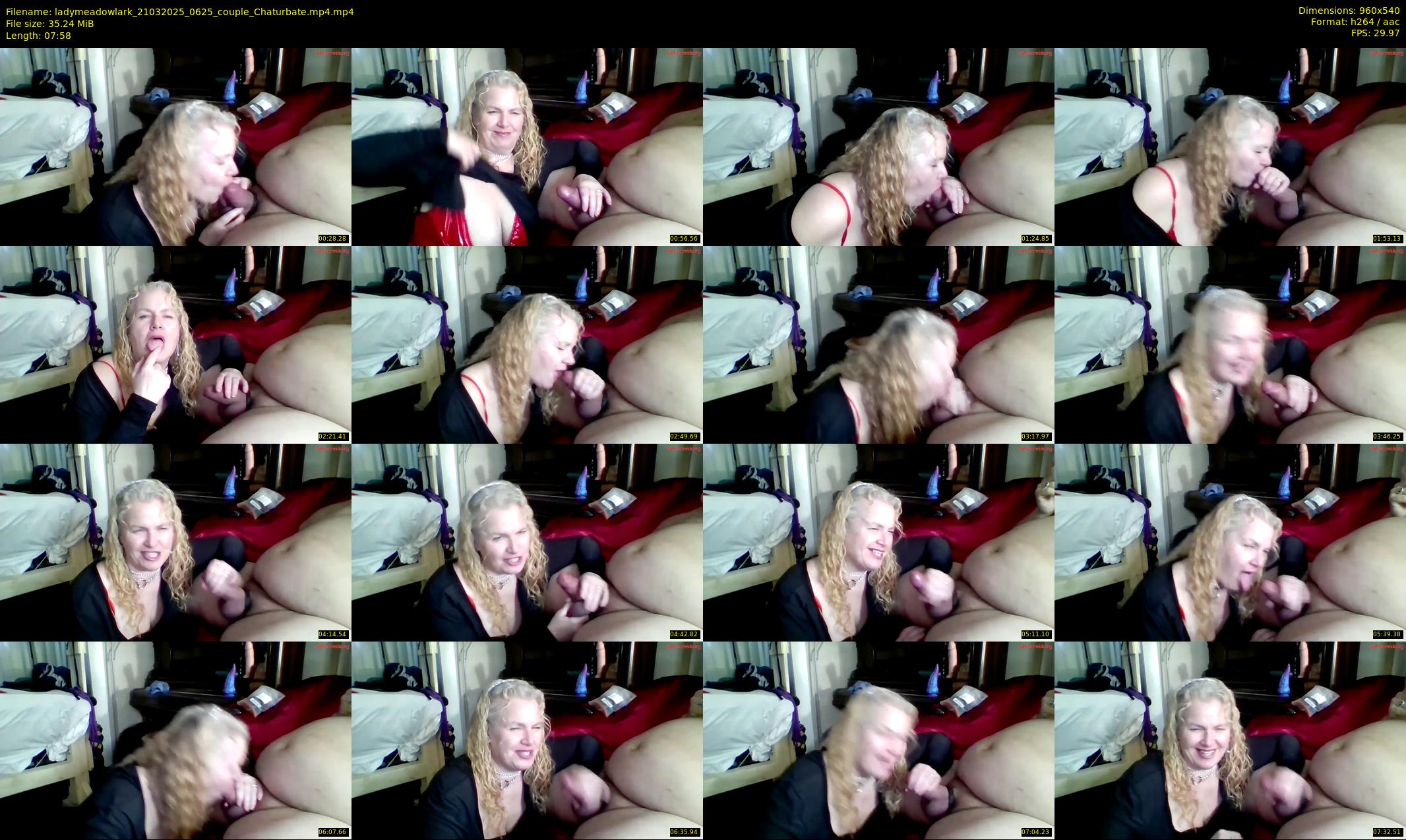 ladymeadowlark — 8 minute Chaturbate couple cam show recording, 480p, Mar 21, 2025